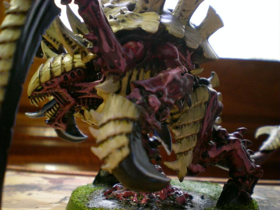 Araknia, Darius, Tyranids