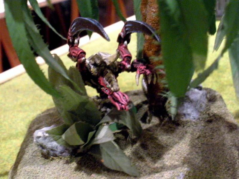 Araknia, Darius, Tyranids