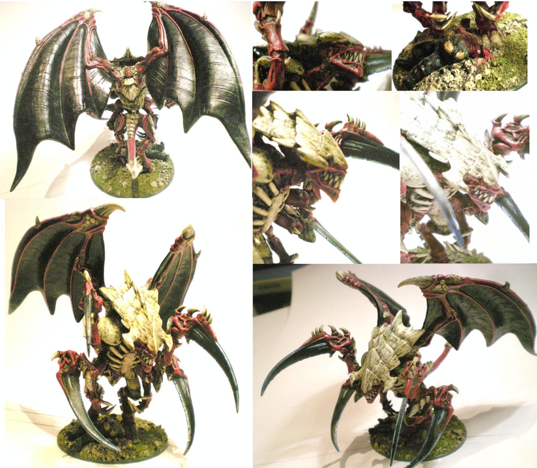 Darius, Tau, Tyranids
