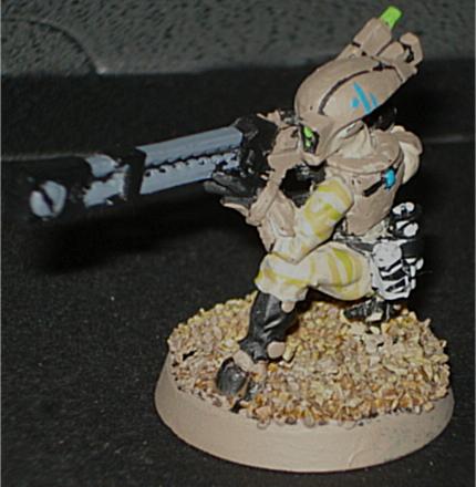 Tau, Warhammer 40,000