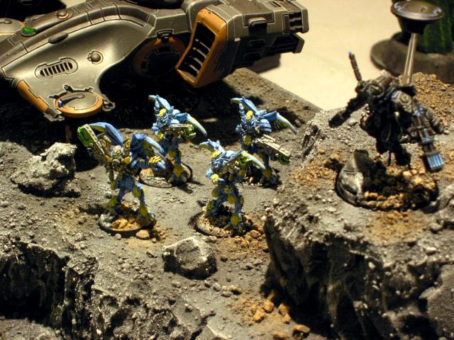 Tau, Vespids
