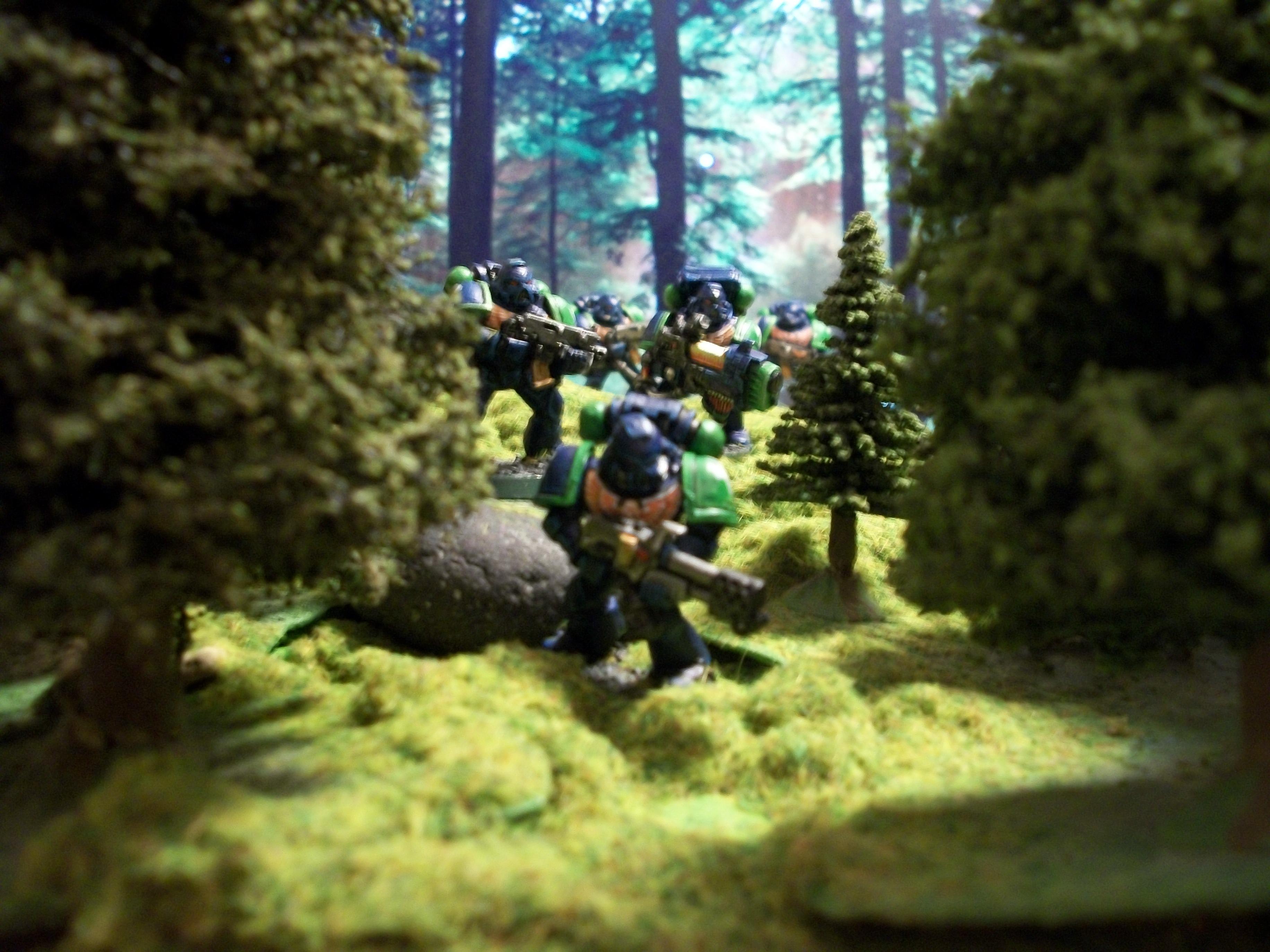 Space Marines, Dorns Bulwark