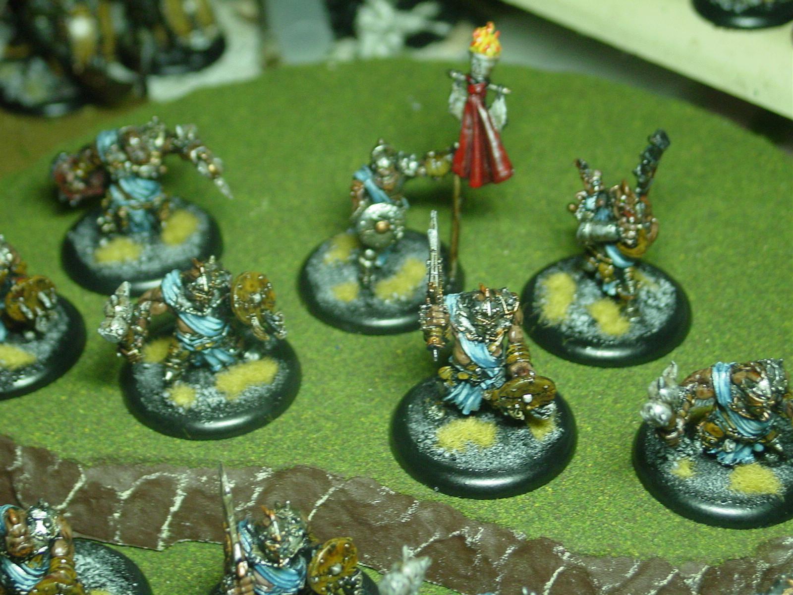 Hordes, Trollbloods, Kriel Warriors, Standard and Piper