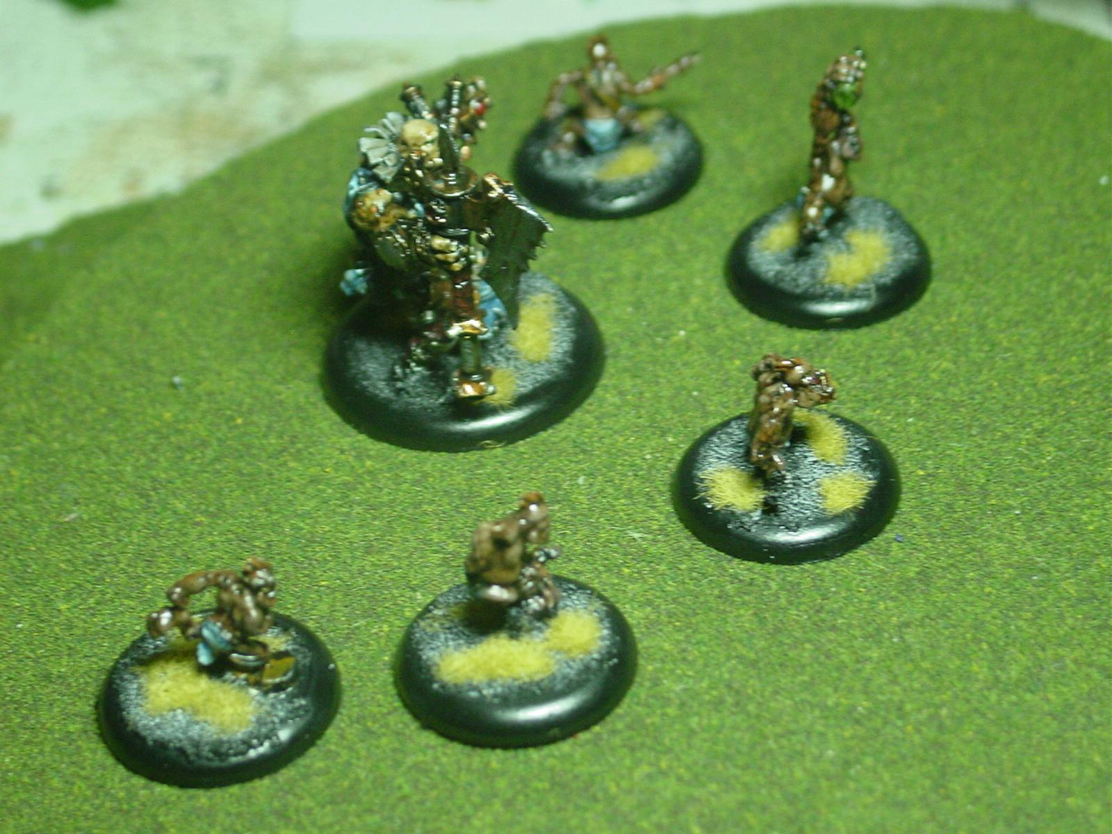 Hordes, Trollbloods, Madrak, Whelps