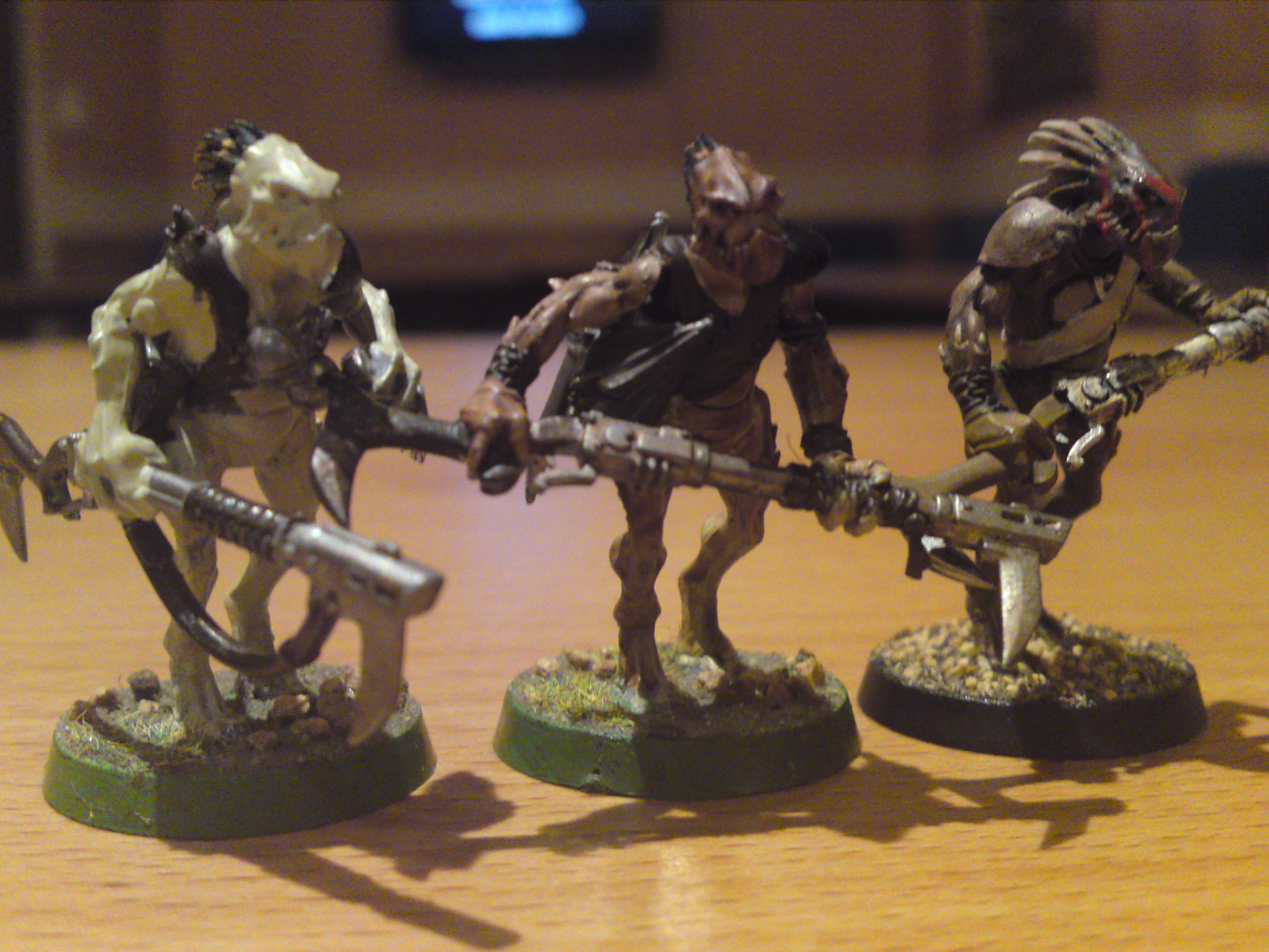kroot