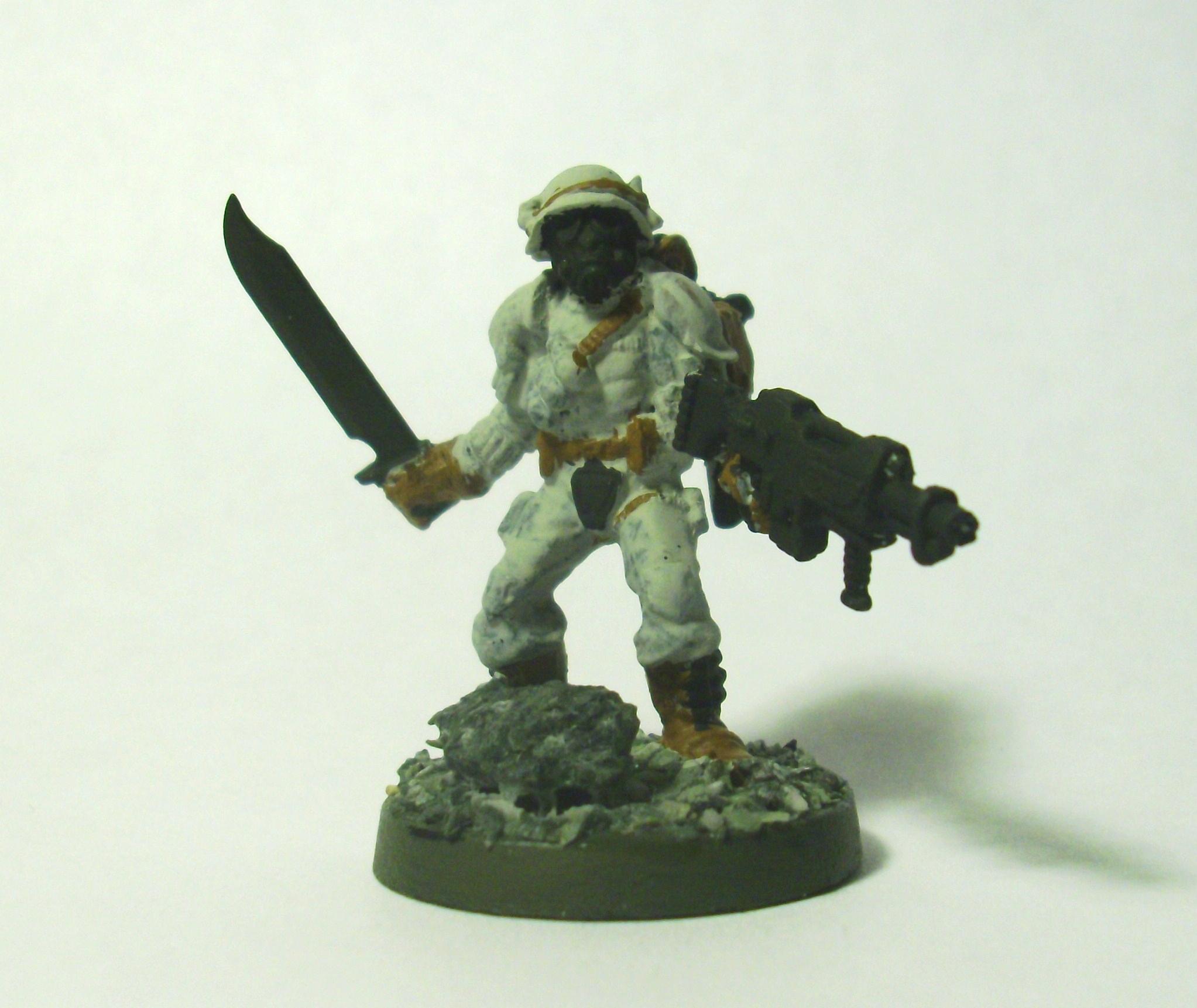 Veteran Guardsman