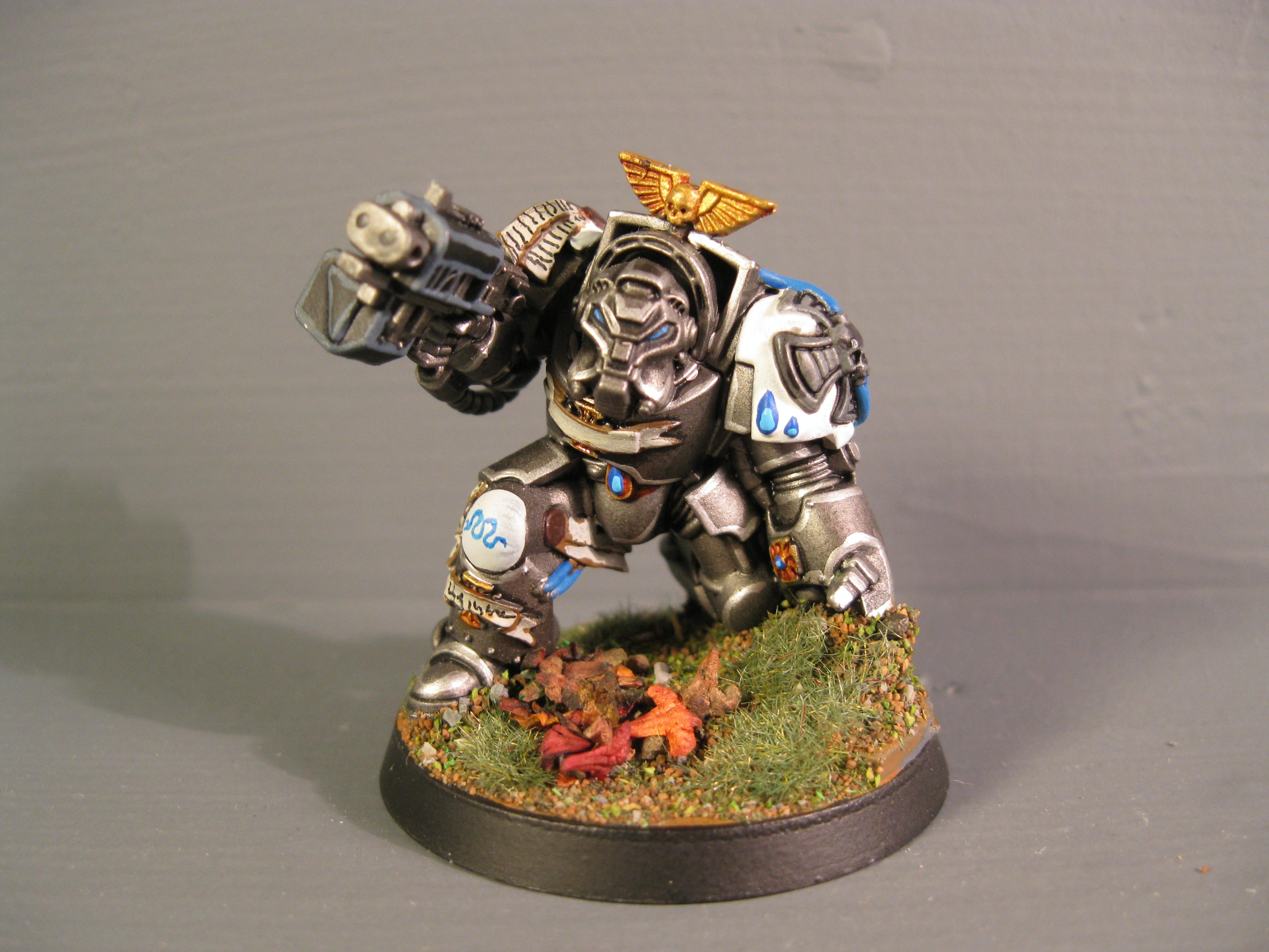 Iron Snakes, Pro Painted, Space Marines, Warhammer 40,000