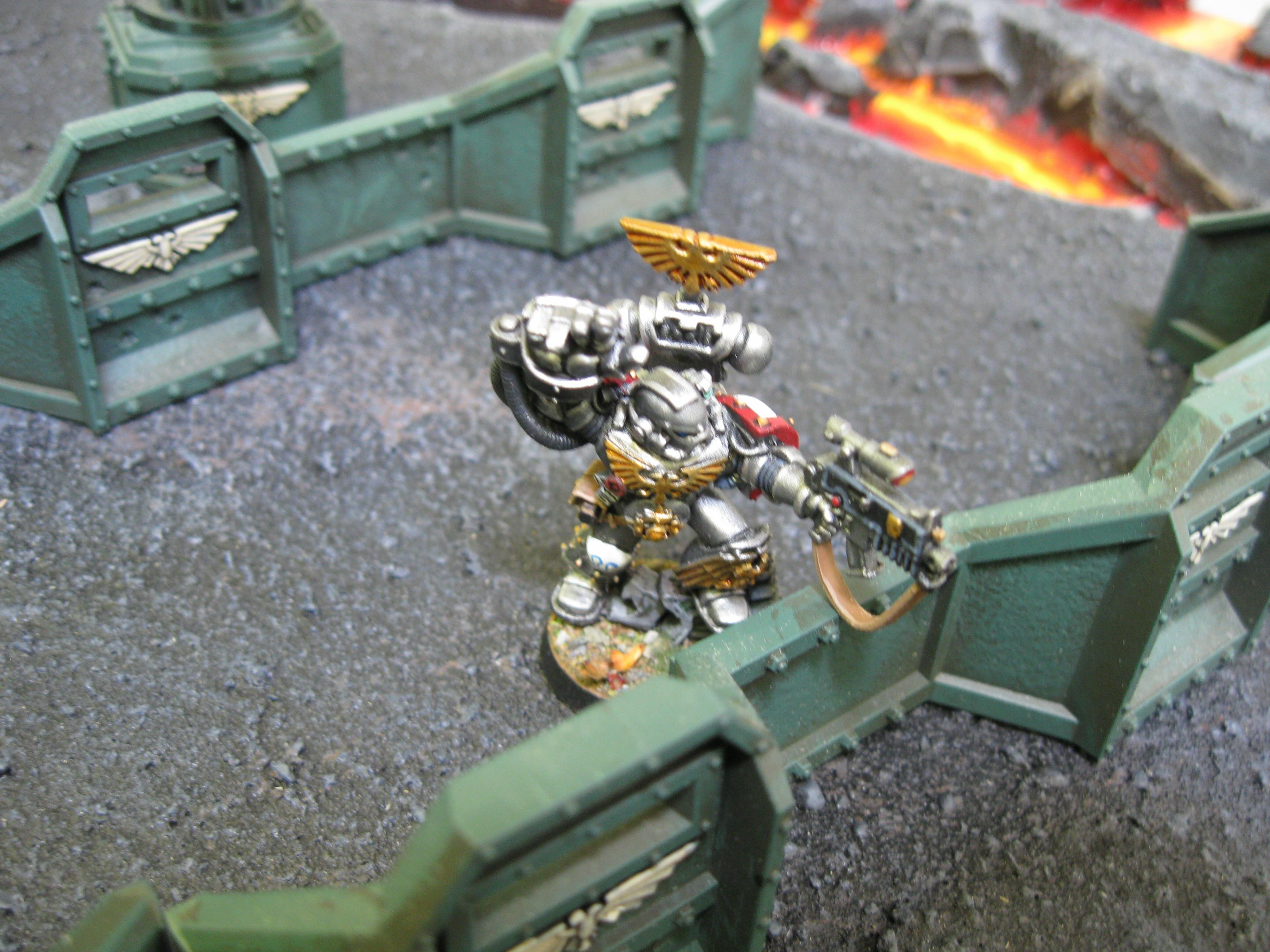 Iron Snakes, Pro Painted, Space Marines, Warhammer 40,000