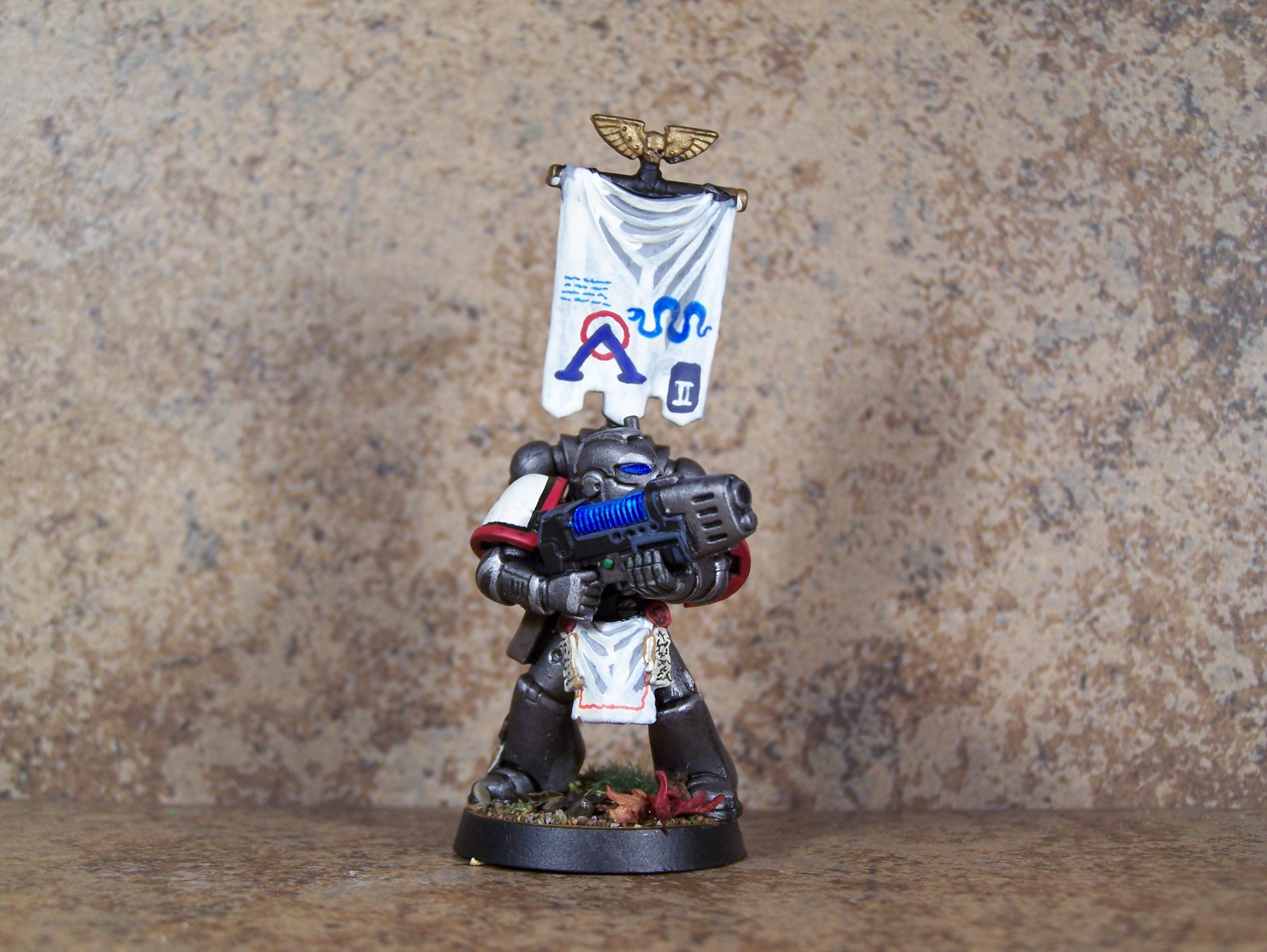 Iron Snakes, Pro Painted, Space Marines, Warhammer 40,000