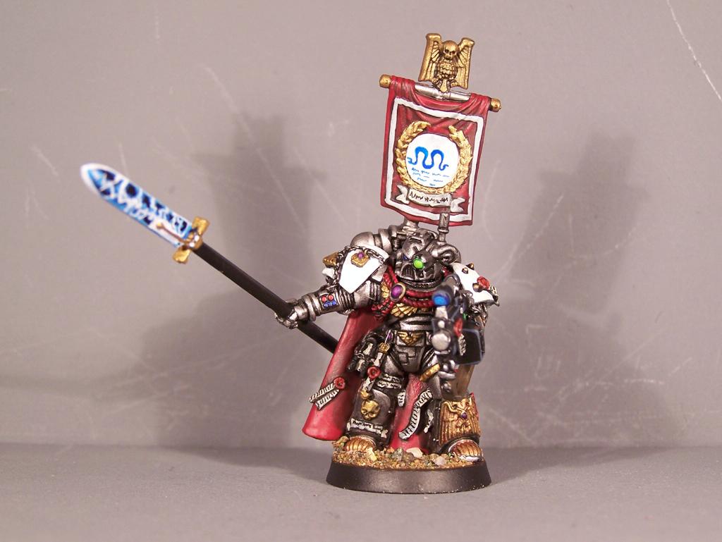 Iron Snakes, Pro Painted, Space Marines, Warhammer 40,000