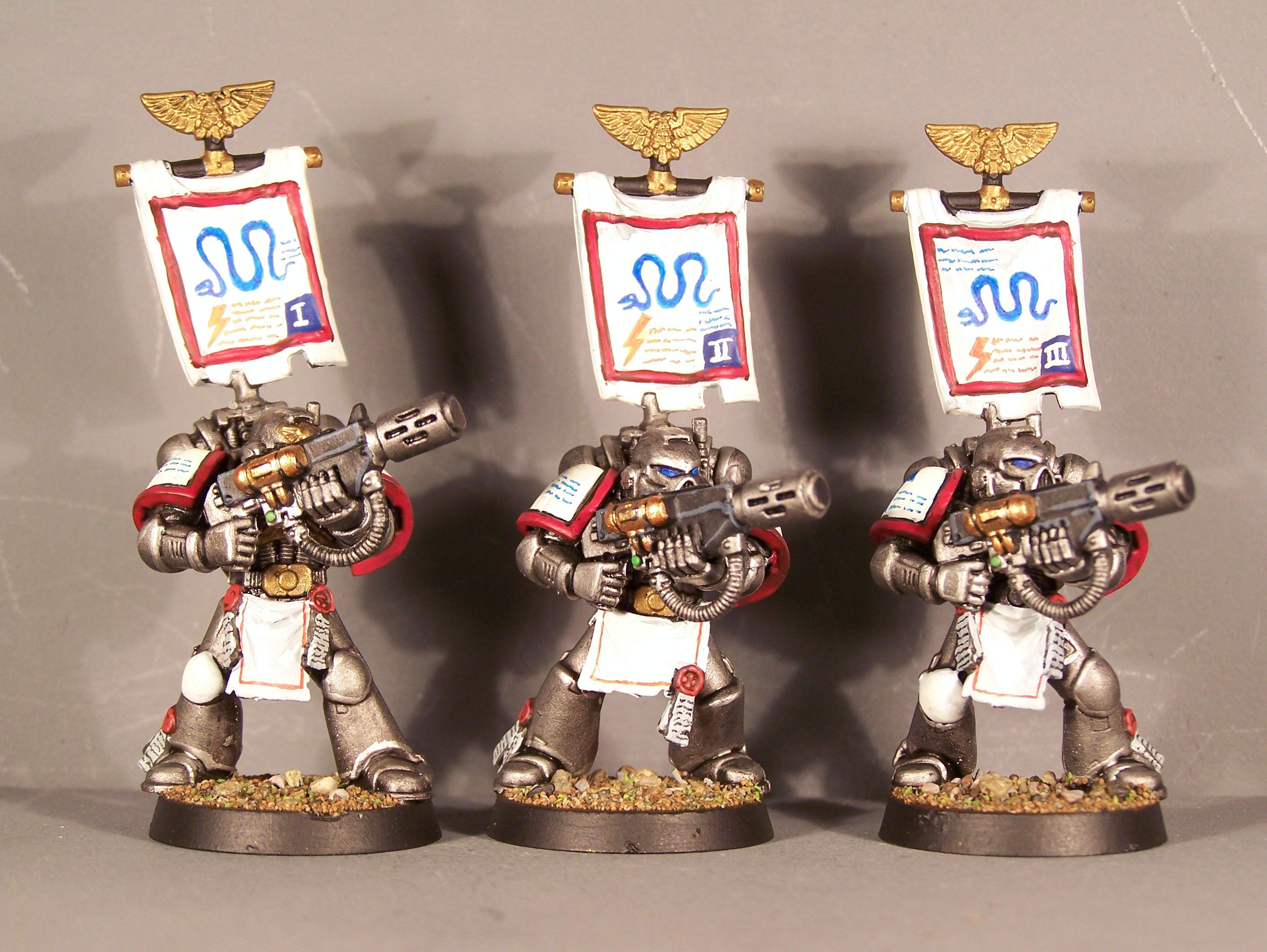 Iron Snakes, Pro Painted, Space Marines, Warhammer 40,000