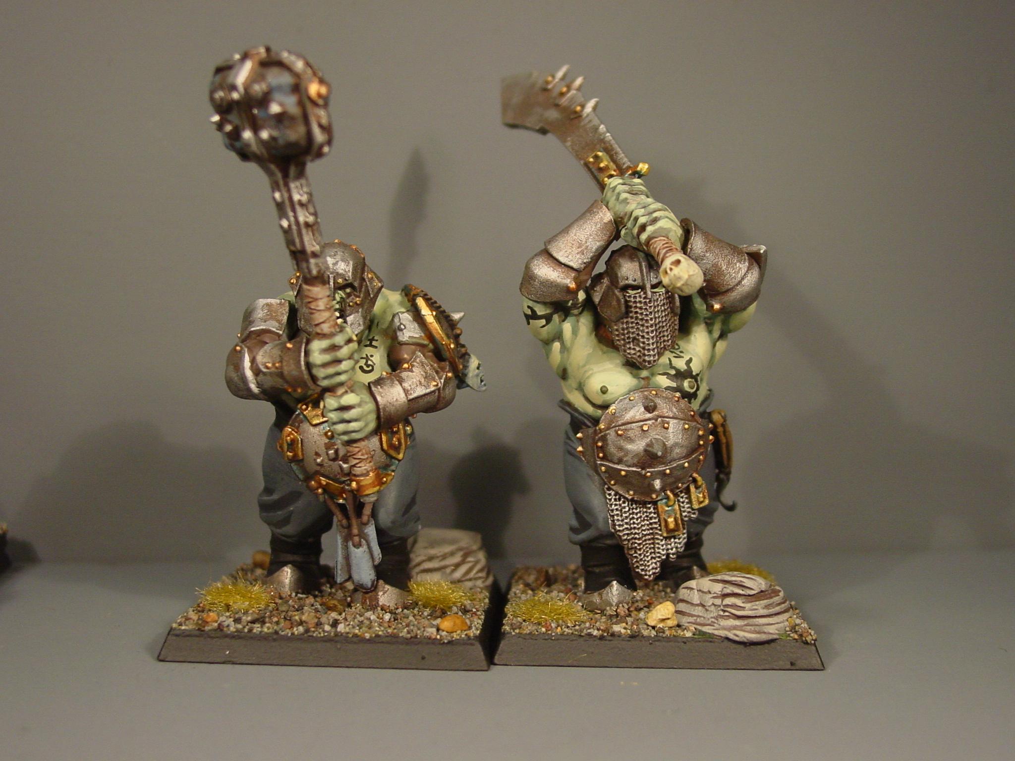 Ogre Kingdomes, Ogres, Pro Painted, Warhammer Fantasy