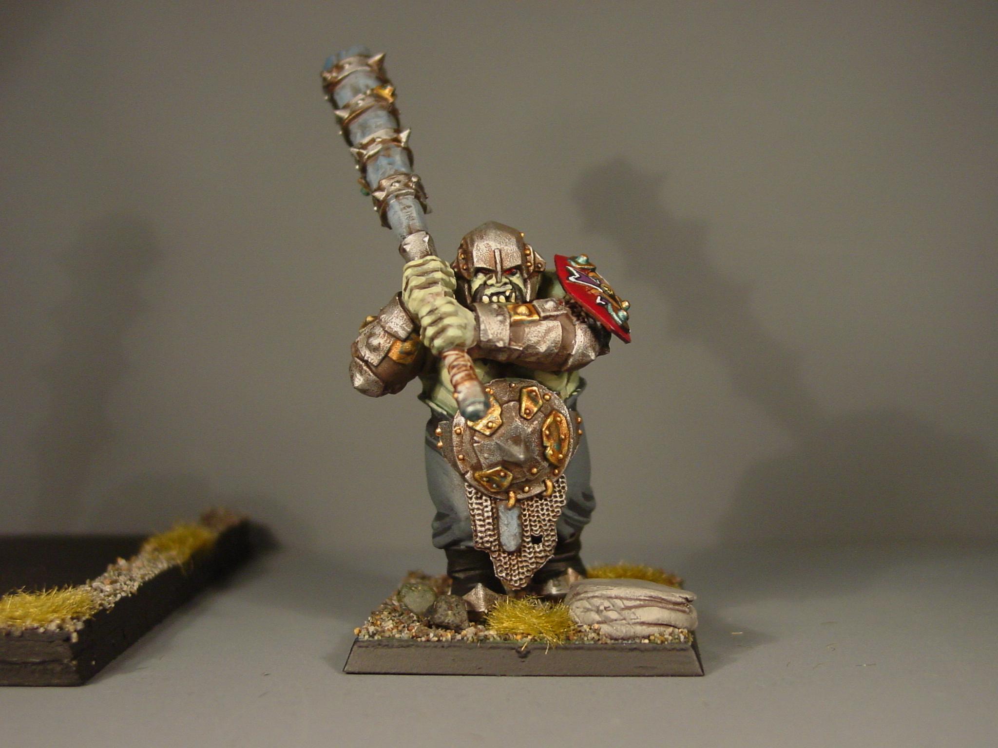 Ogre Kingdomes, Ogres, Pro Painted, Warhammer Fantasy