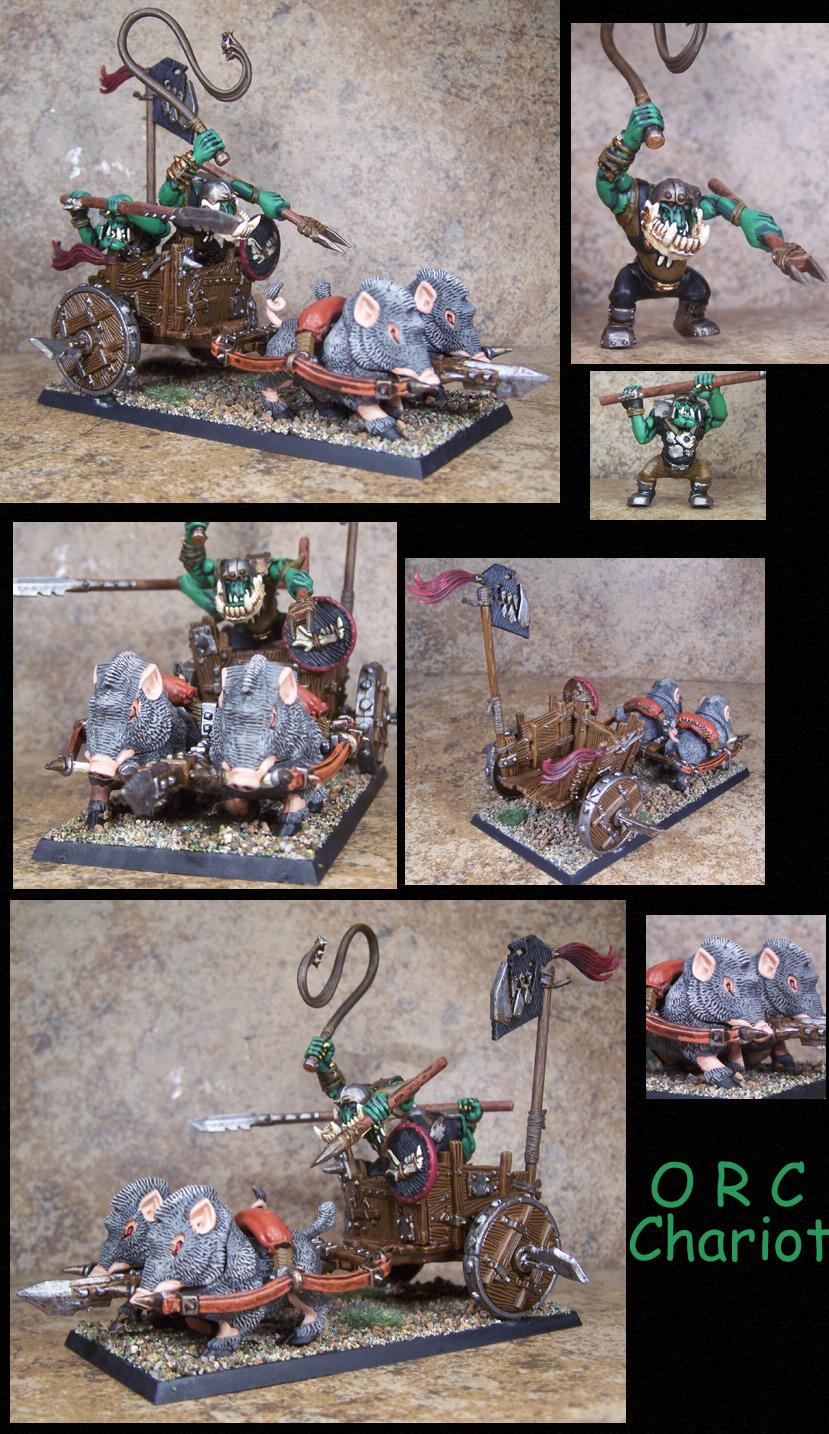 Goblins, Gobos, Orcs, Orcs And Goblins, Orks, Pro Painted, Rpg, Warhammer Fantasy
