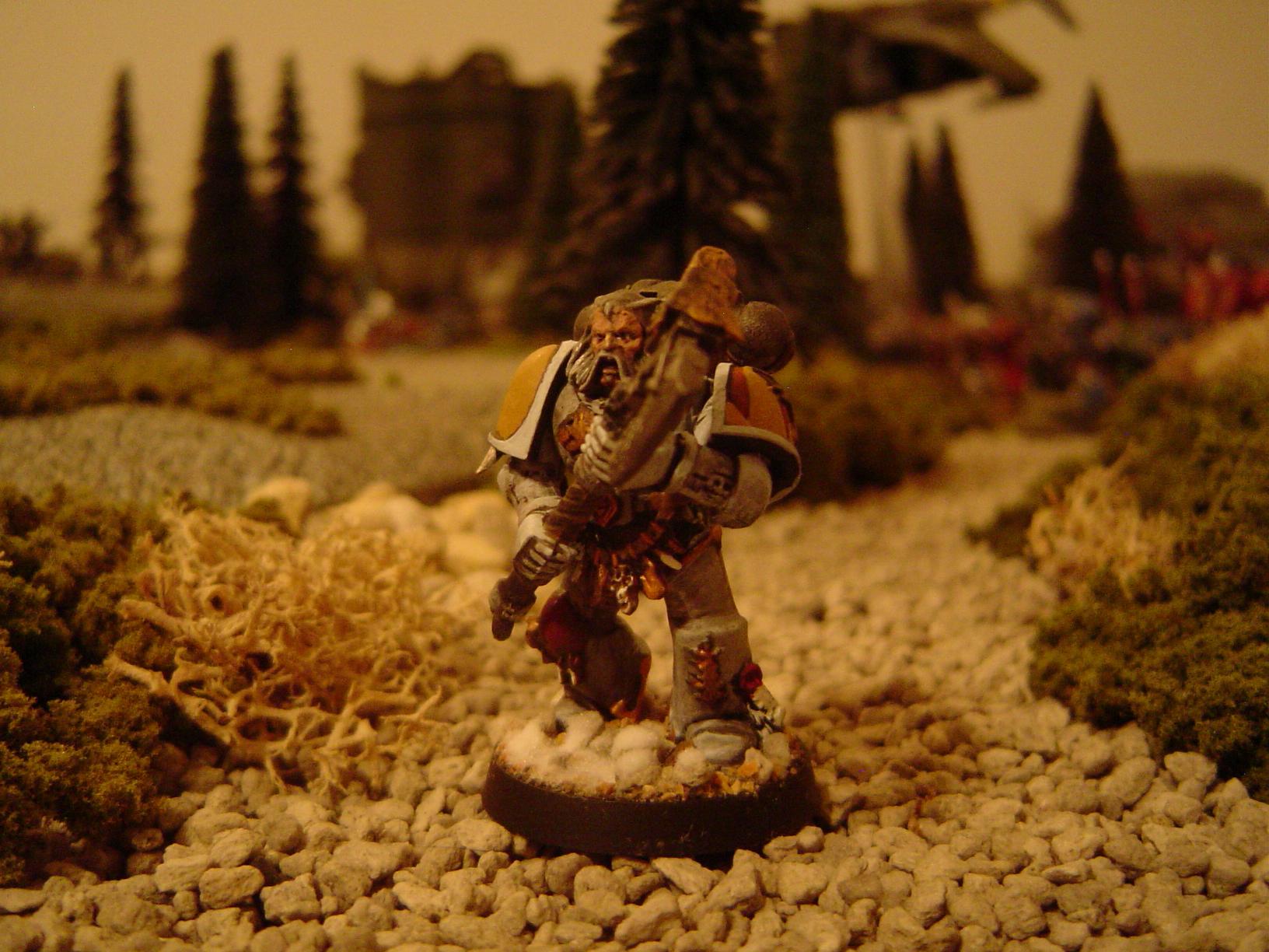 Space Wolves, space wolves
