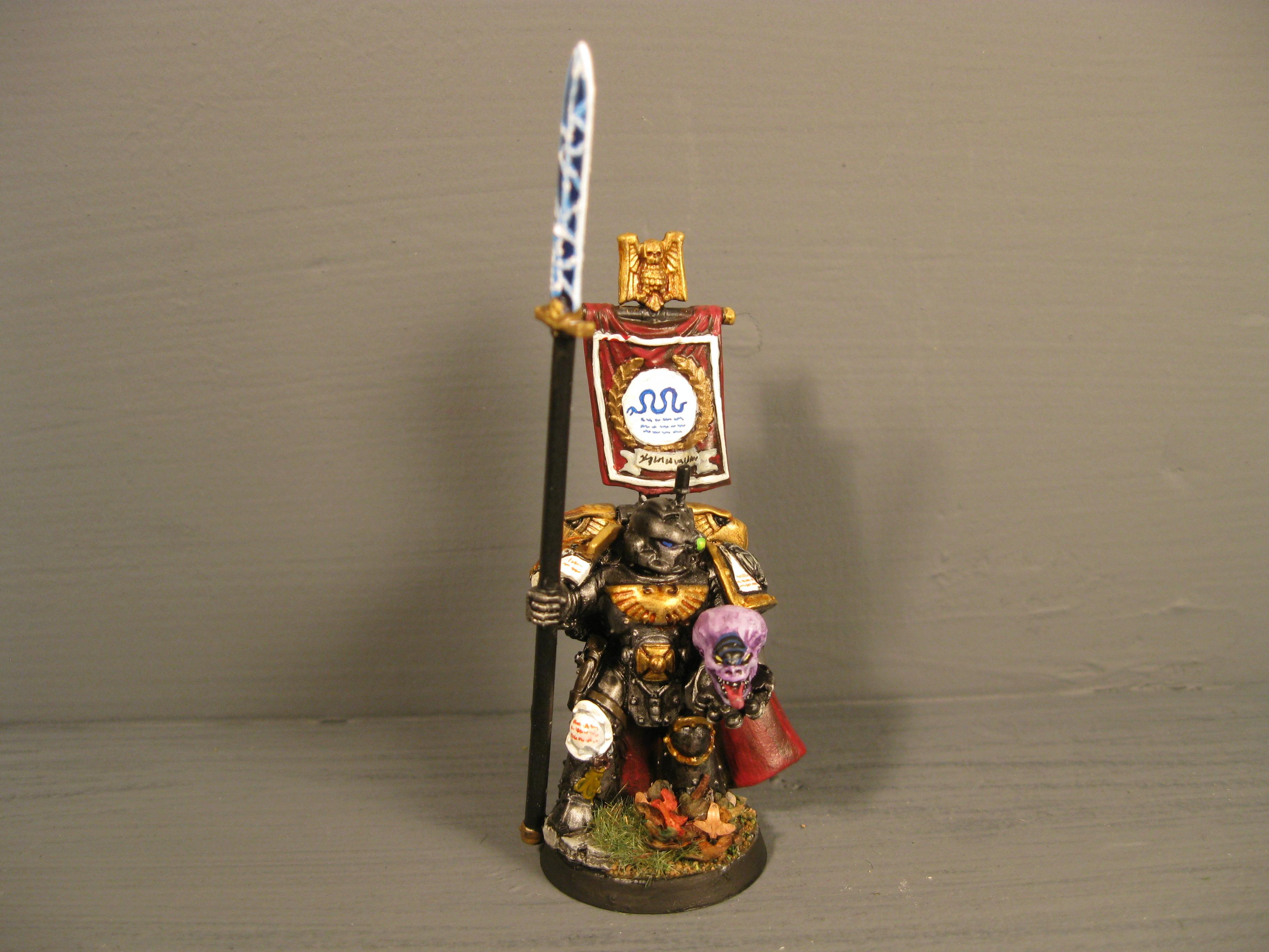 Iron Snakes, Pro Painted, Space Marines, Warhammer 40,000