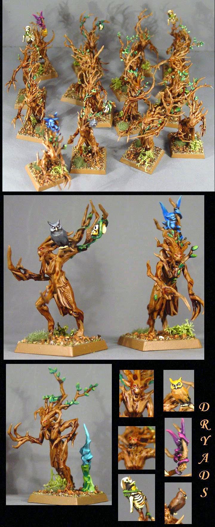 Dryad, Pro Painted, Rpg, Warhammer Fantasy, Wood Elves
