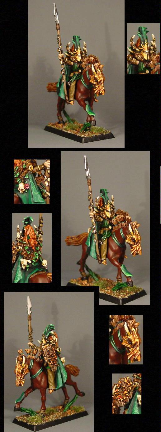 Elf Dude, Pro Painted, Rpg, Warhammer Fantasy, Wood Elf Lord, Wood Elves