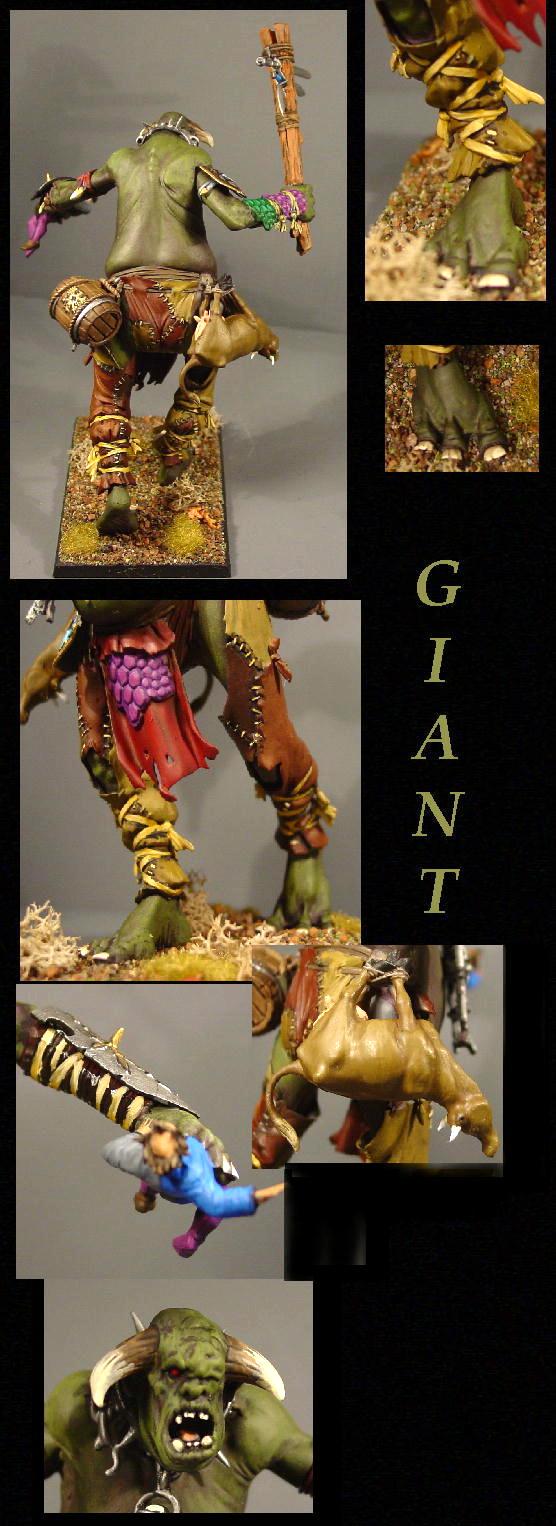 Giant, Pro Painted, Rpg, Warhammer Fantasy