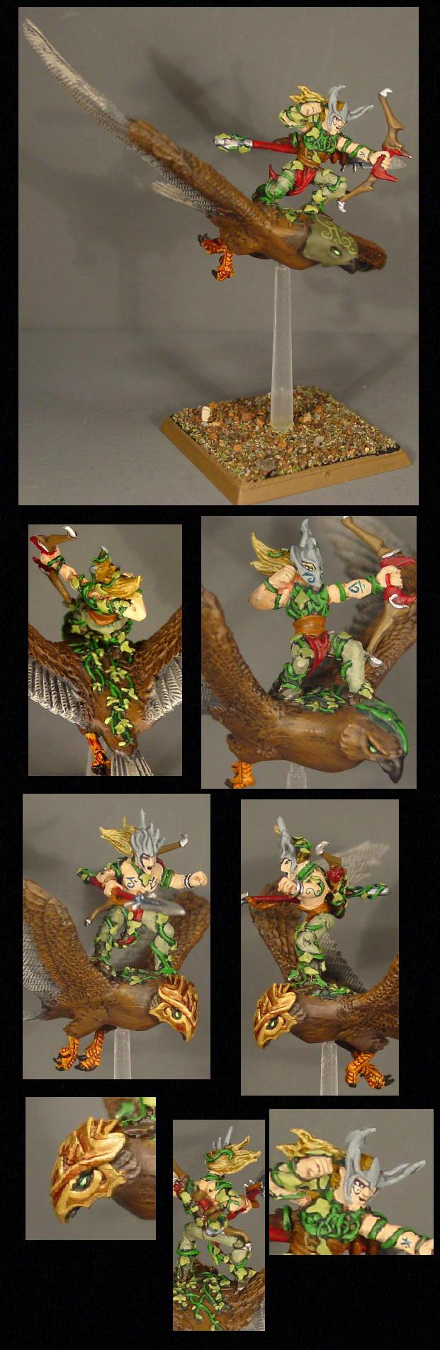 Pro Painted, Rpg, Warhammer Fantasy, Warhawk Rider, Wood Elves