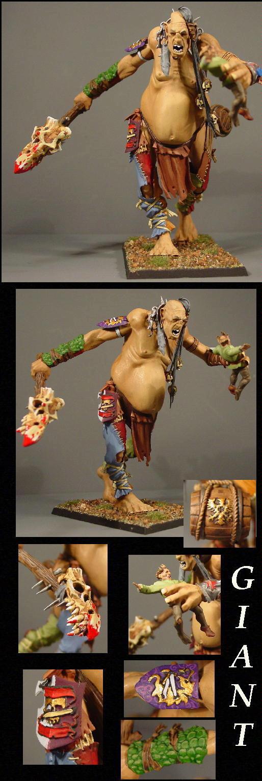 Giant, Pro Painted, Rpg, Warhammer Fantasy