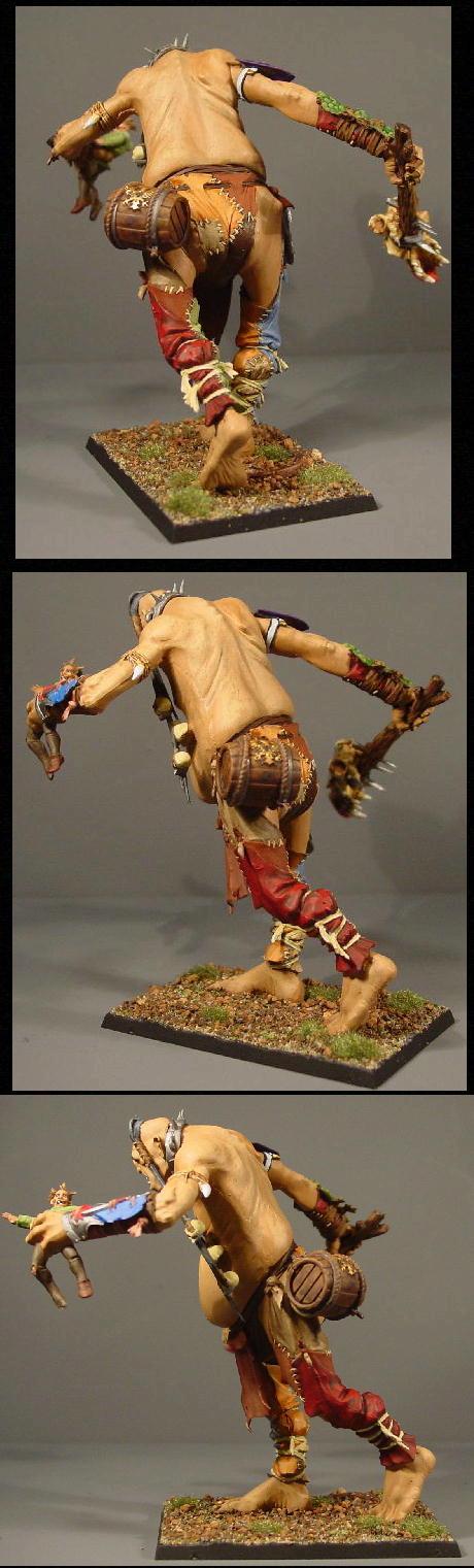 Giant, Pro Painted, Rpg, Warhammer Fantasy
