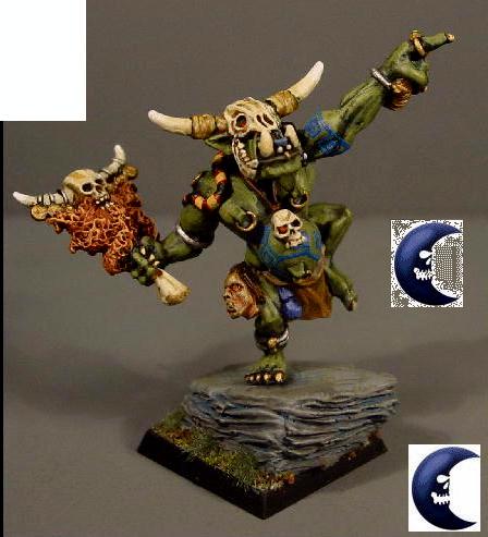 Goblins, Gobos, Orcs, Orcs And Goblins, Orks, Pro Painted, Rpg, Shaman, Warhammer Fantasy