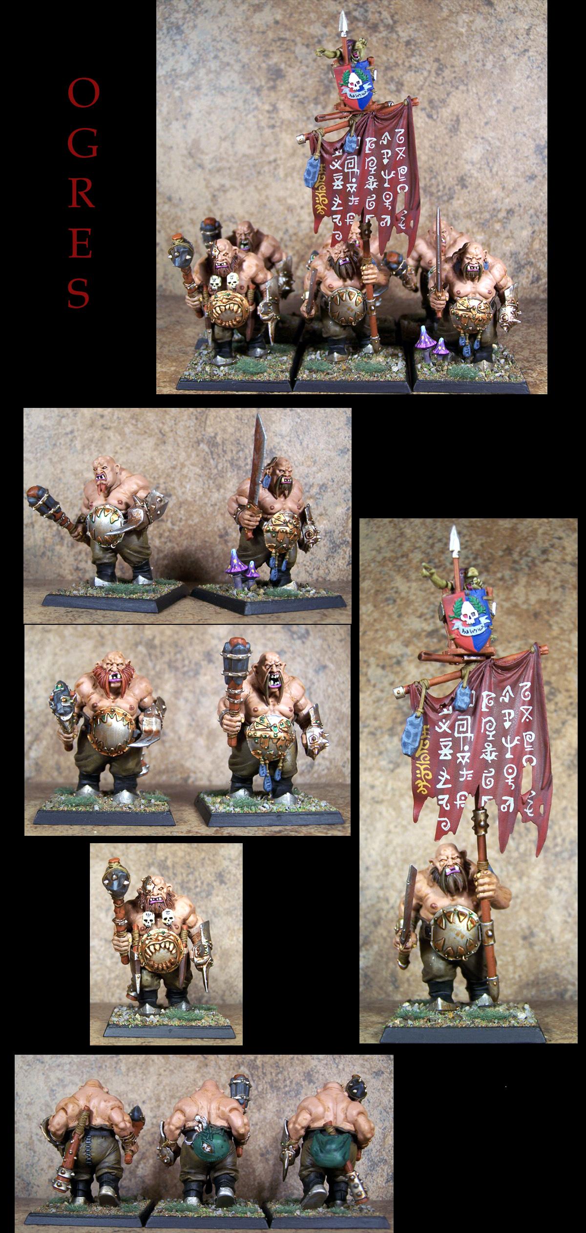 Ogre Kingdomes, Ogres, Pro Painted, Warhammer Fantasy