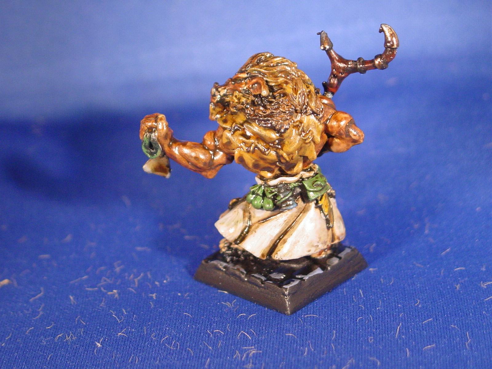 Fantasy, Dungeons and Dragons, Shaman