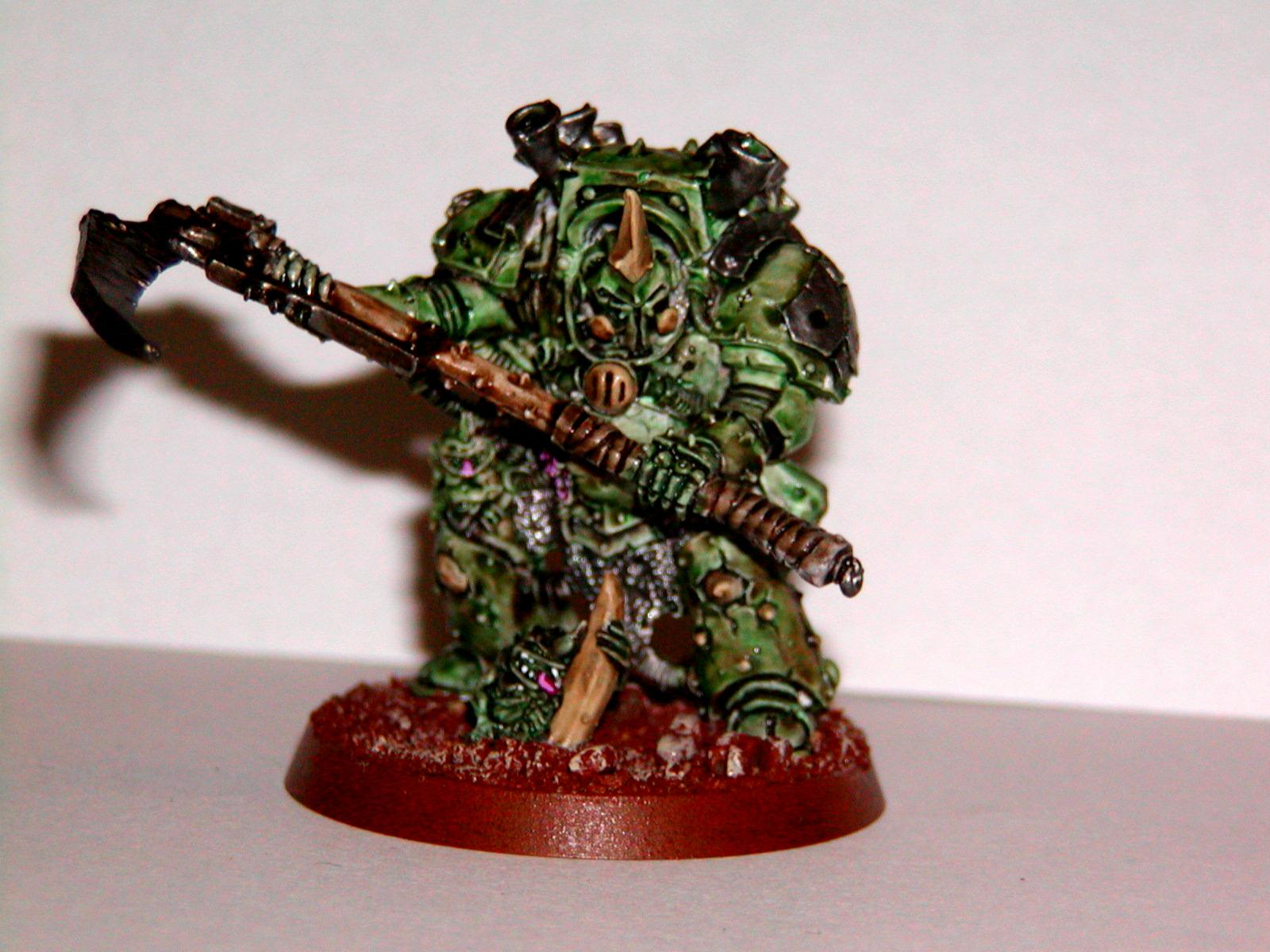 Typhus