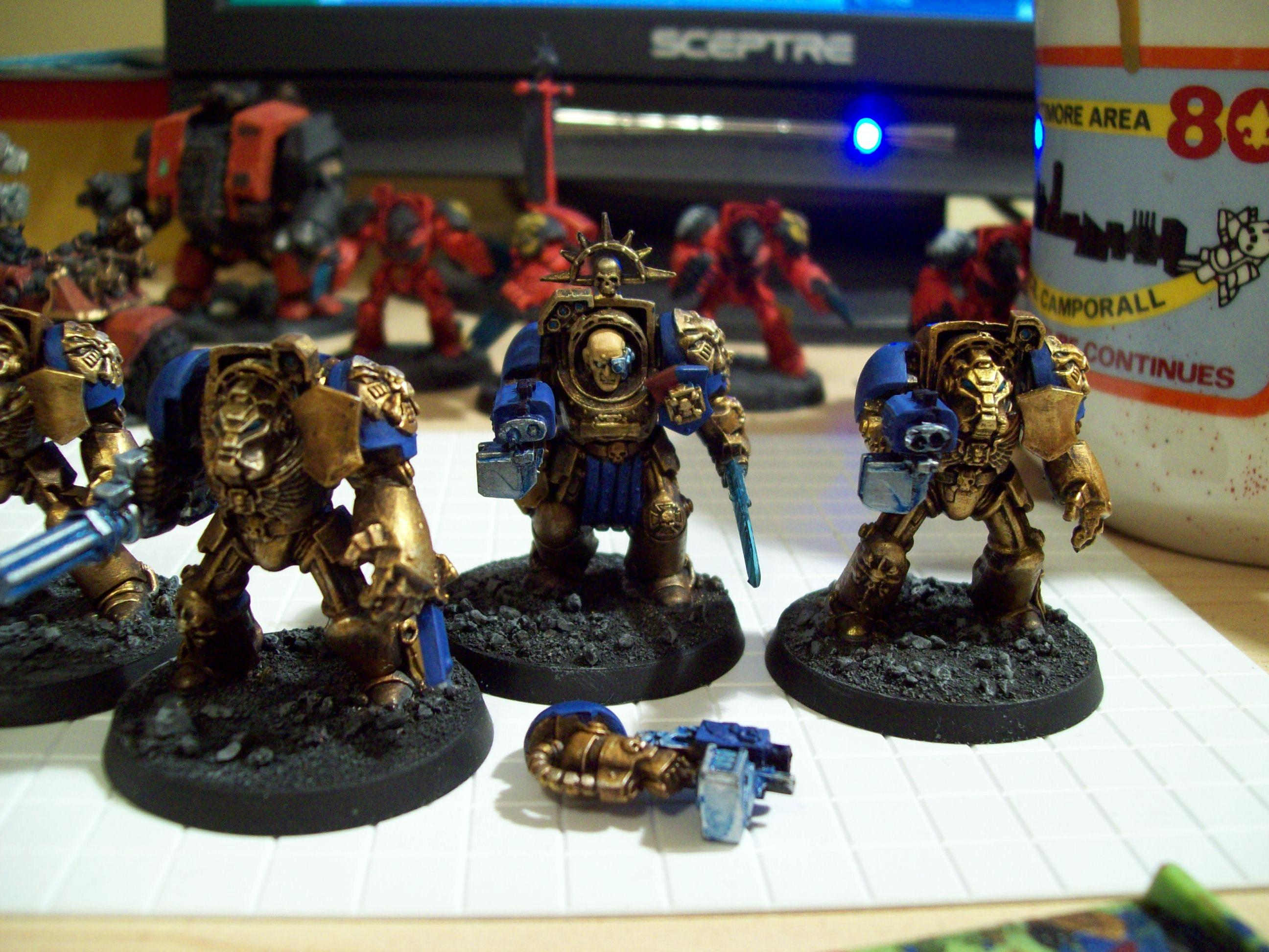 3rd Company, Celestial Lions, Space Marines, Terminator Armor, Warhammer 40,000