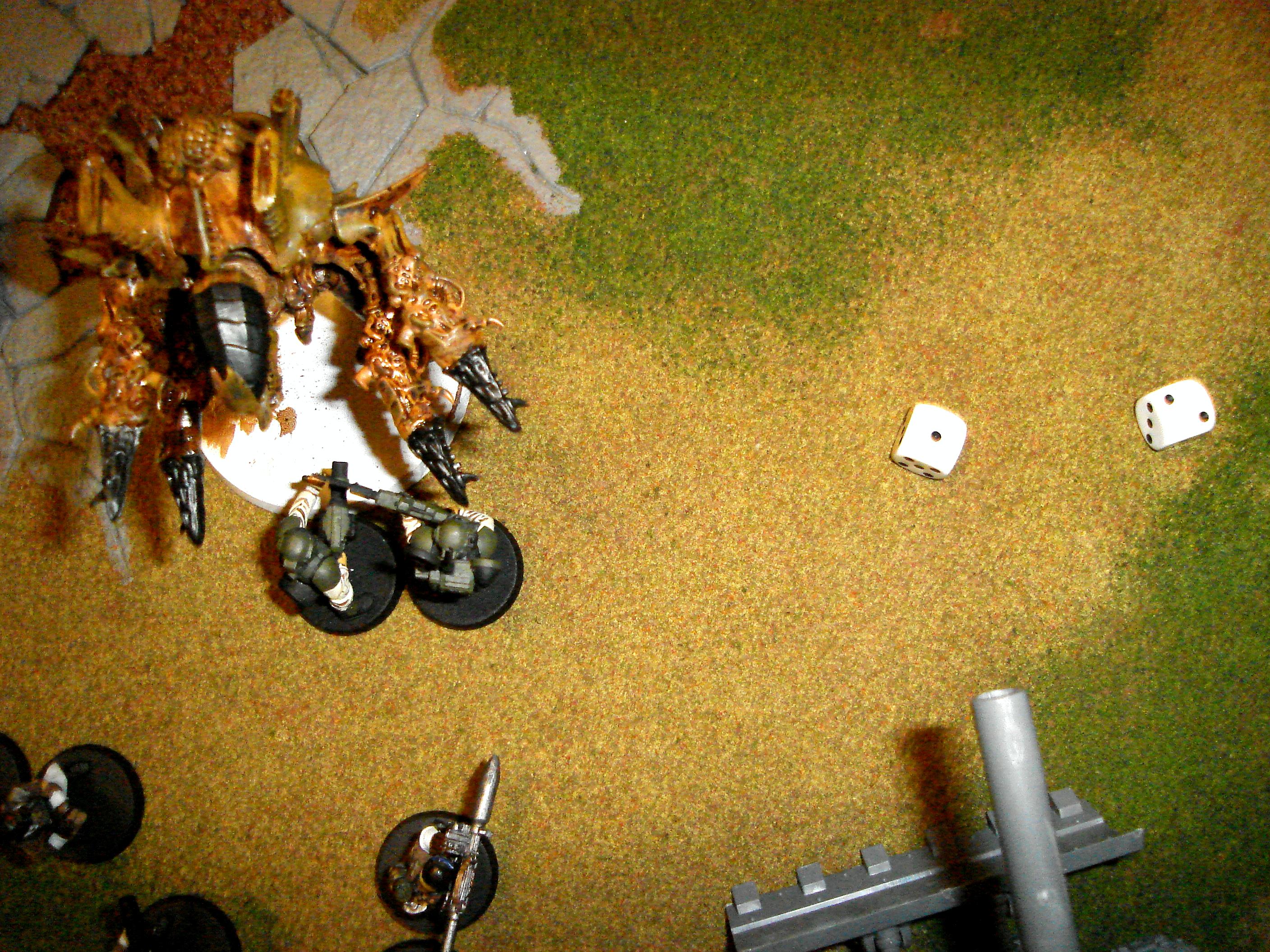 Game, Game Table, Imperial Guard, Tyranids