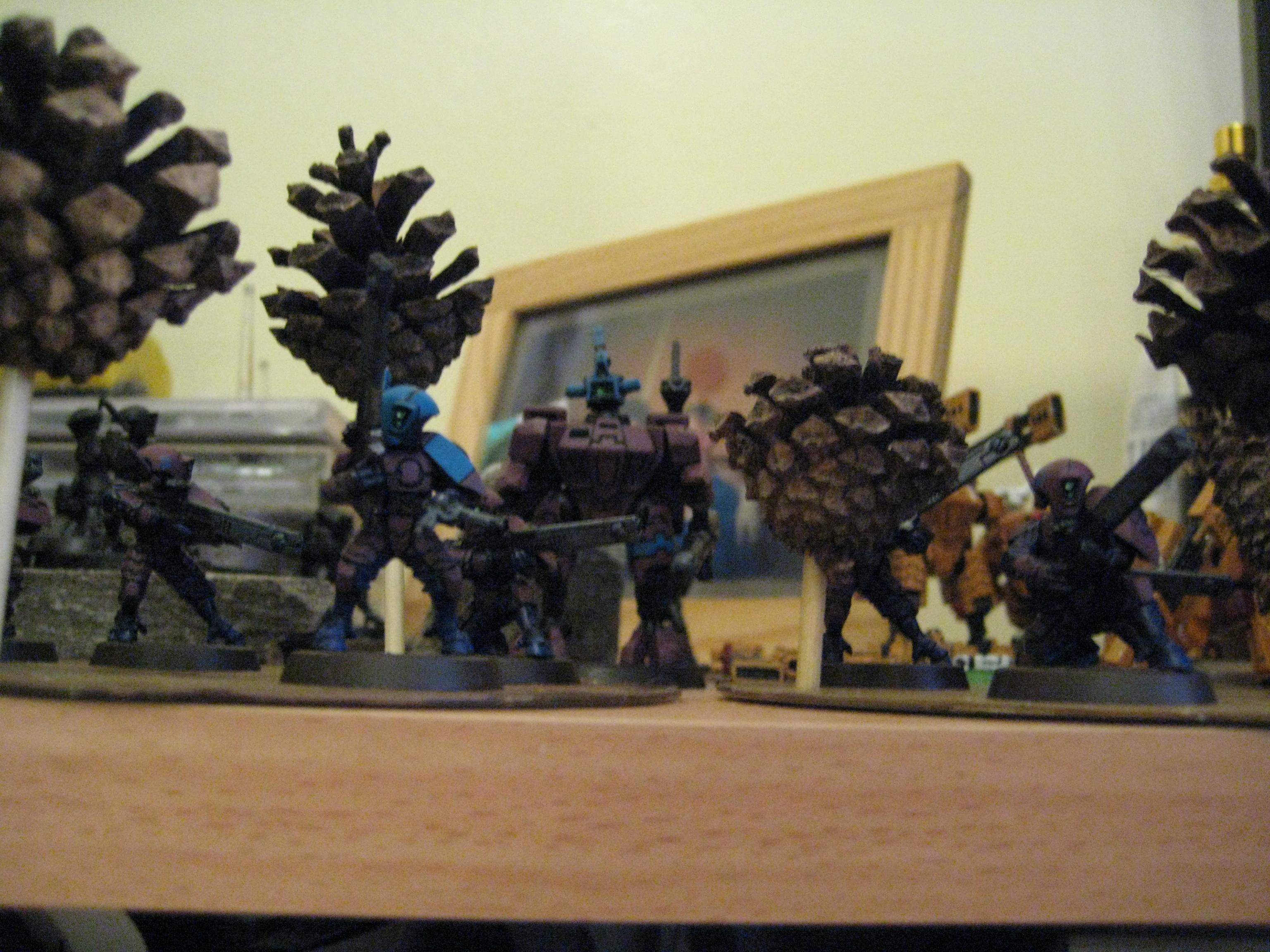 Borkan, Fire Warriors, Shasel, Tau