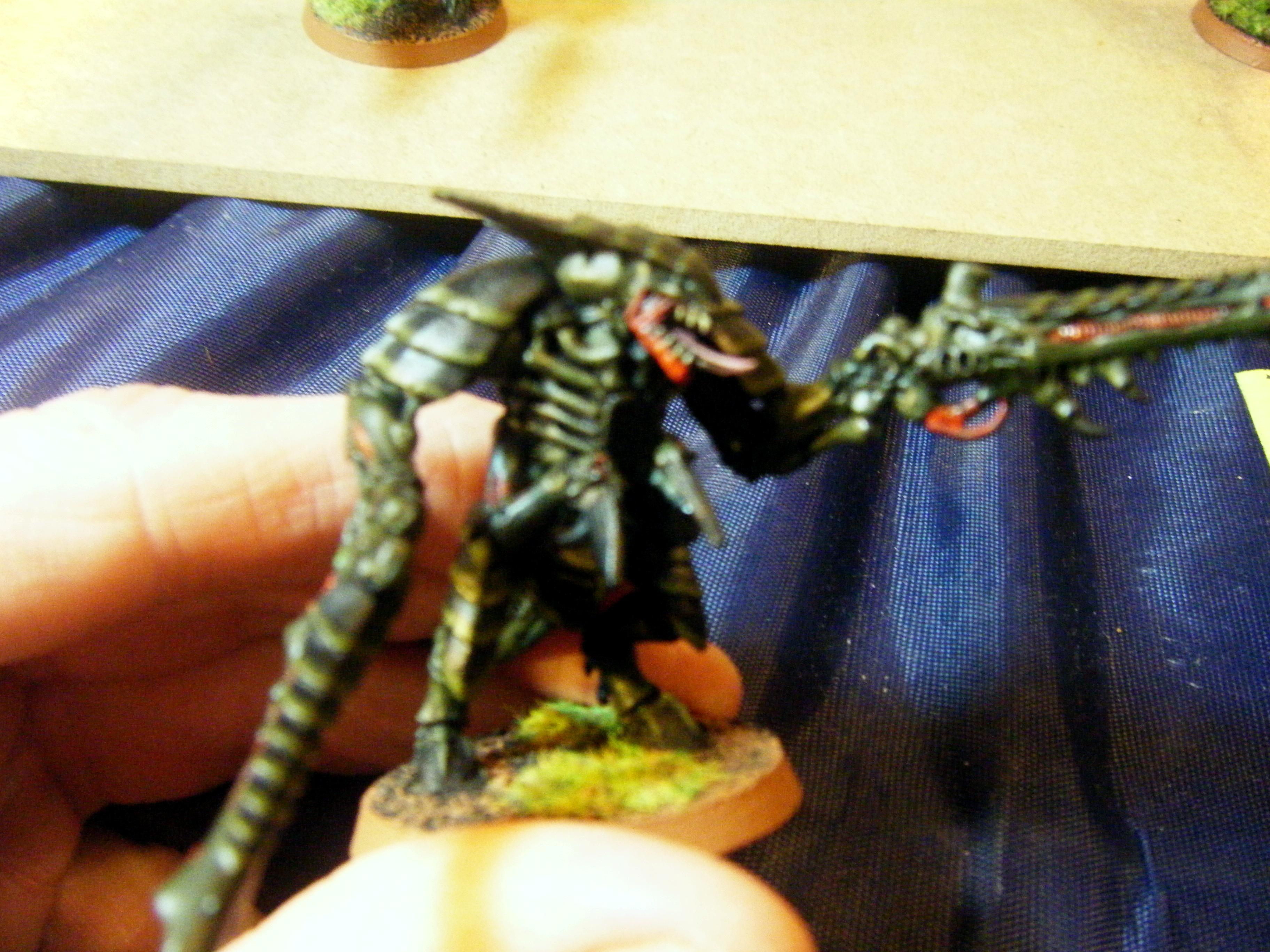 Blurred Photo, Tyranids