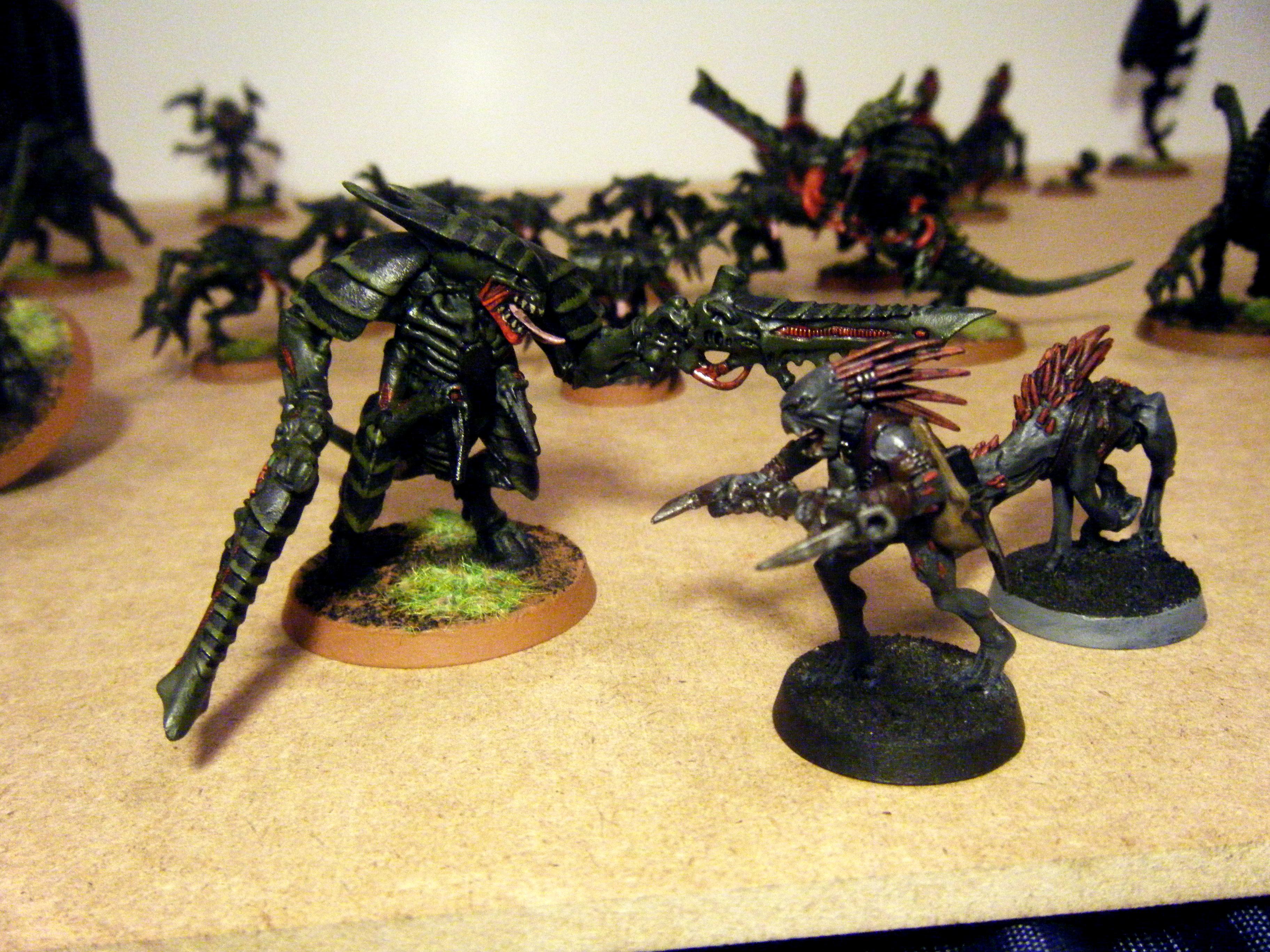 Kroot, Rattle Report, Tau, Tyranids