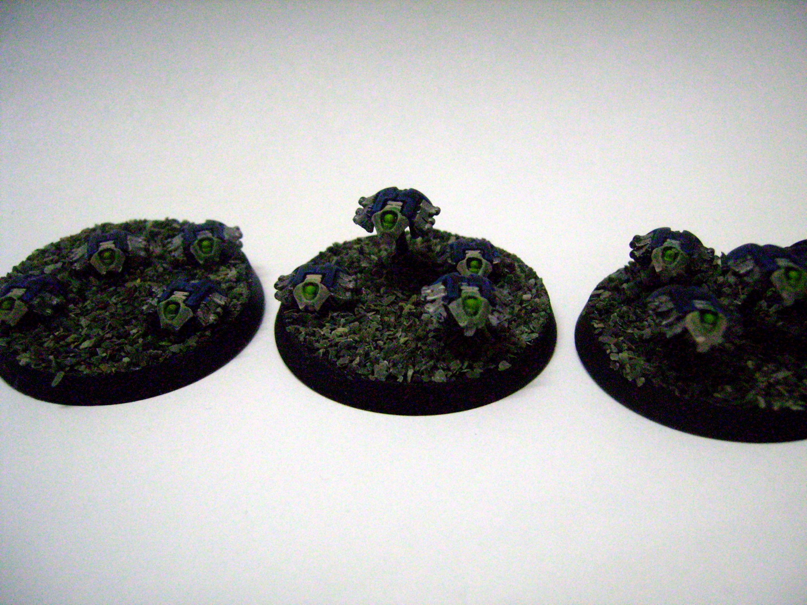 Scarab Swarms
