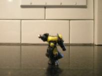 Space Marines, captainpic3