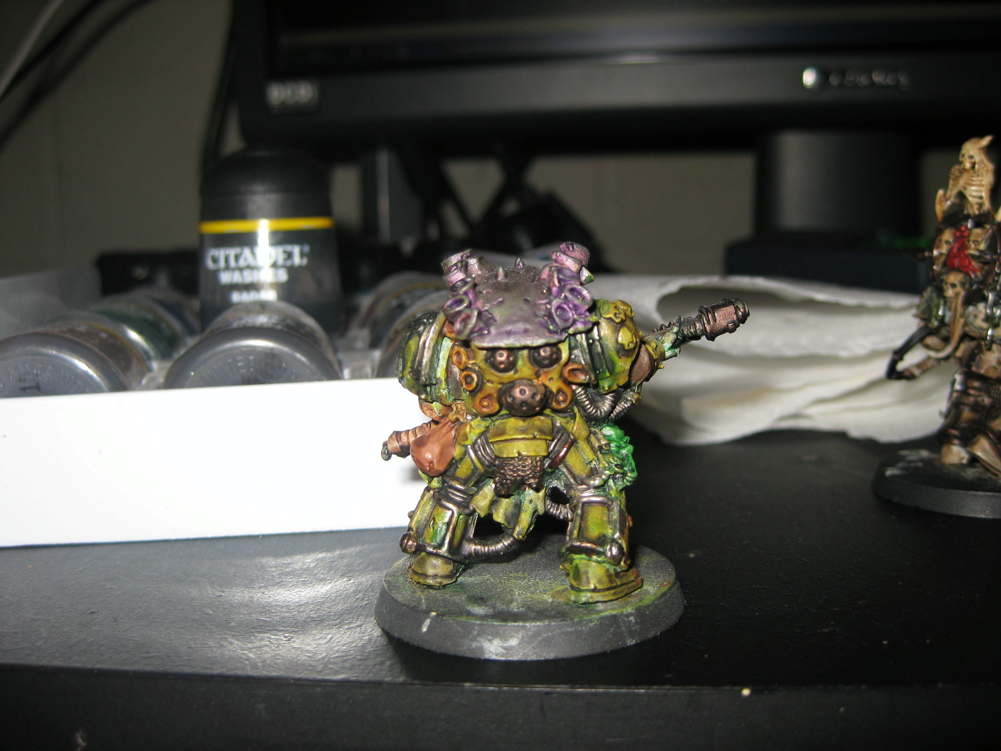 Typhus Back