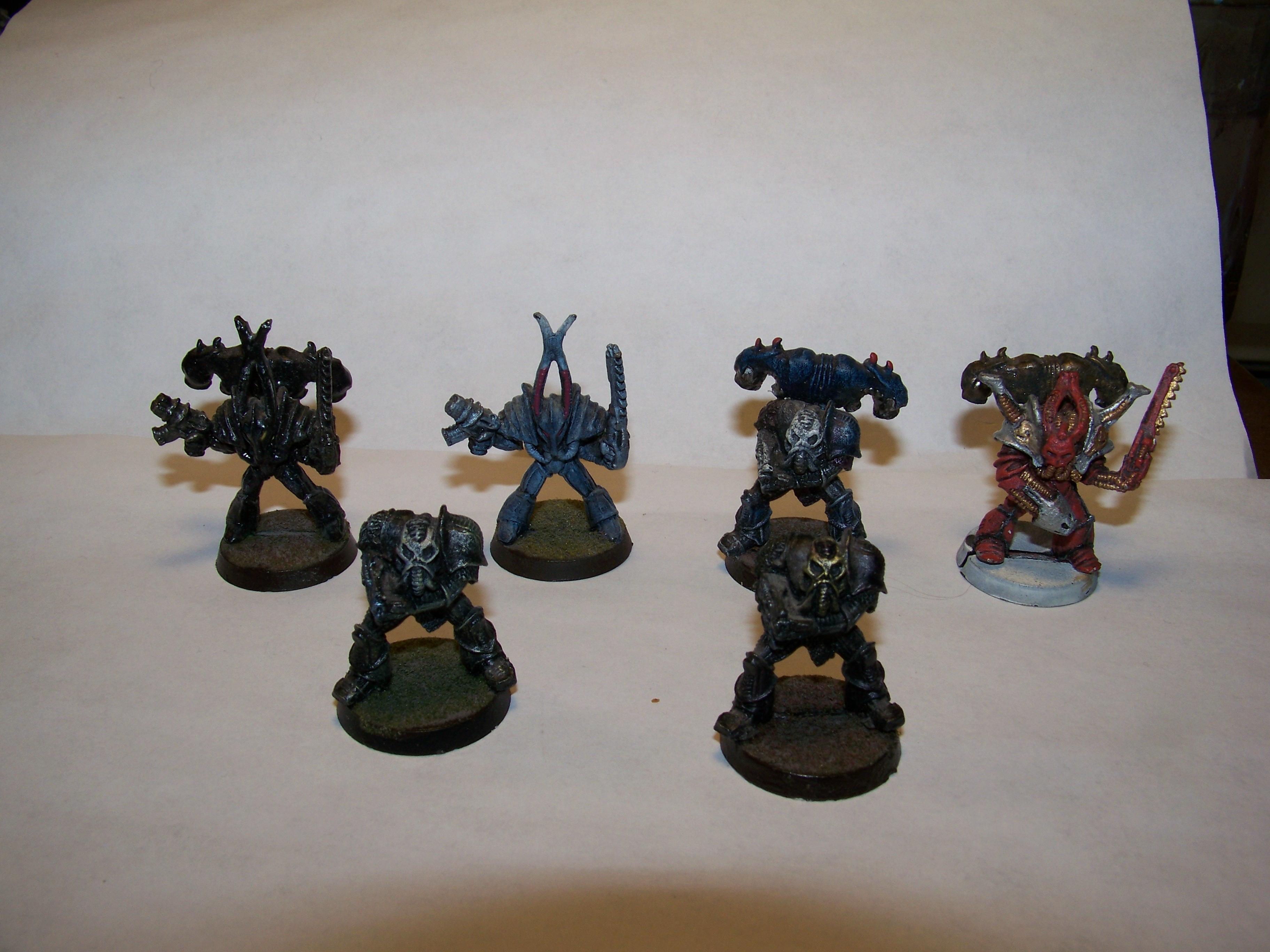 Chaos Renegades, Chaos renegade squad
