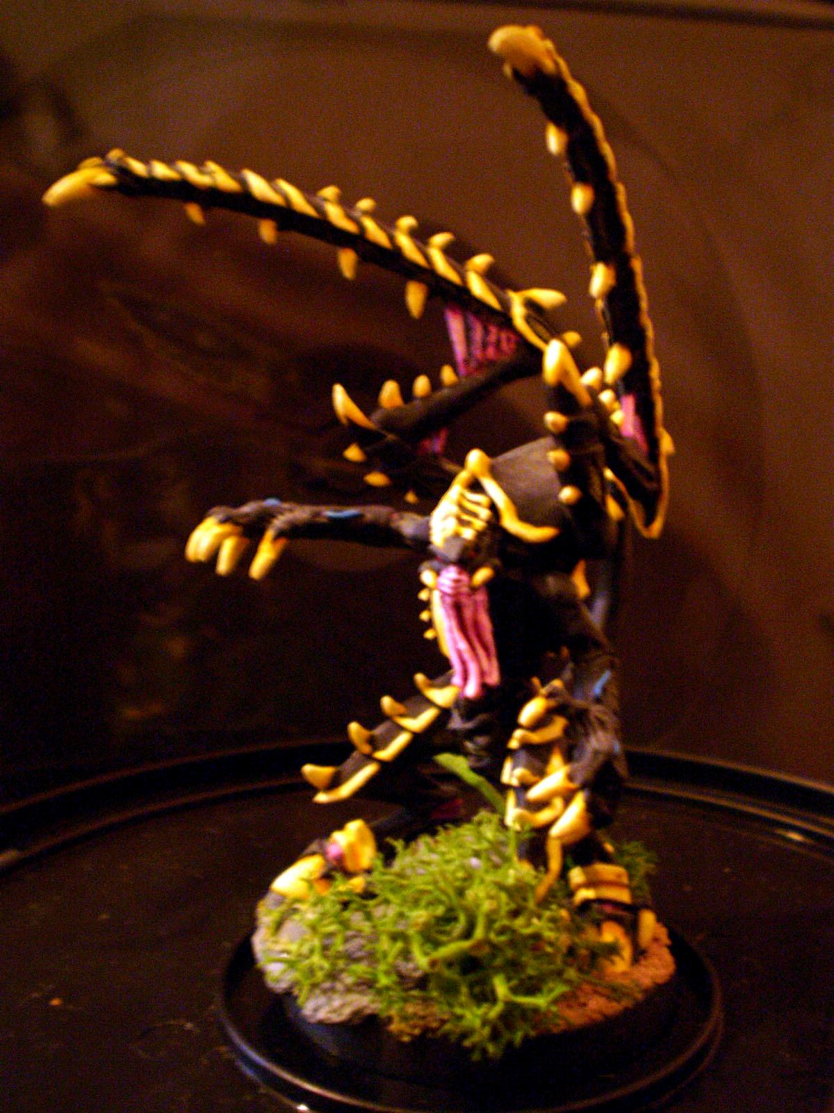 Lictor Tyranids, Lictor_1