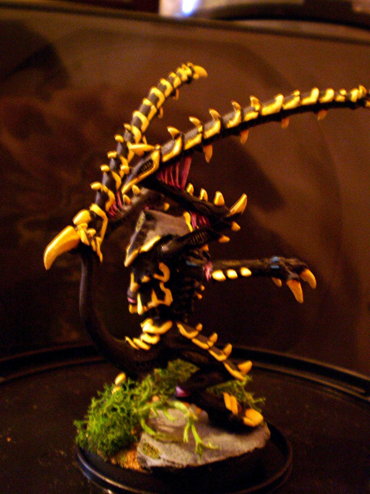 Lictor_3