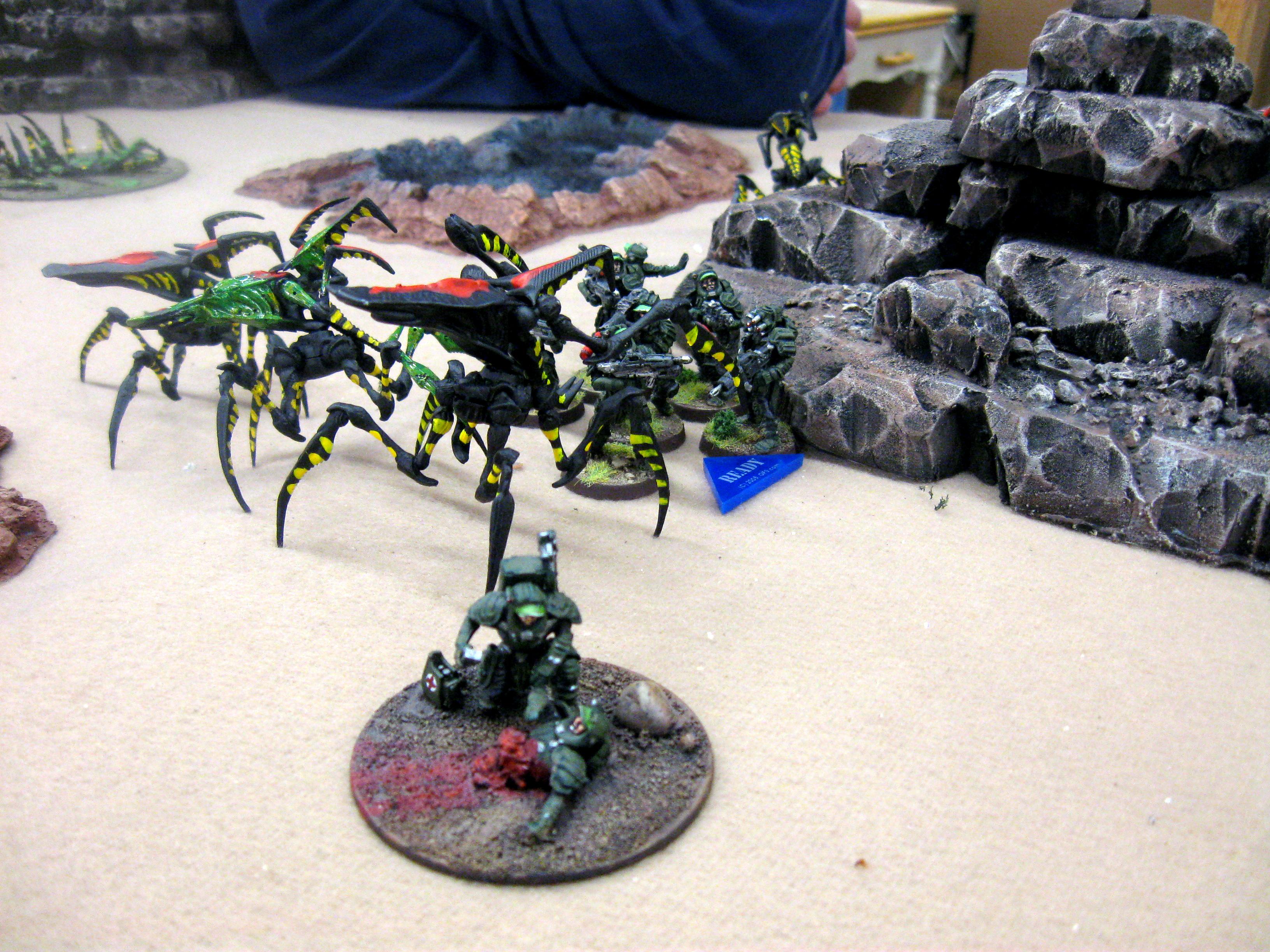 Buggers, Bugs, Starship Troopers