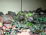 Imperial Guard, Too Small