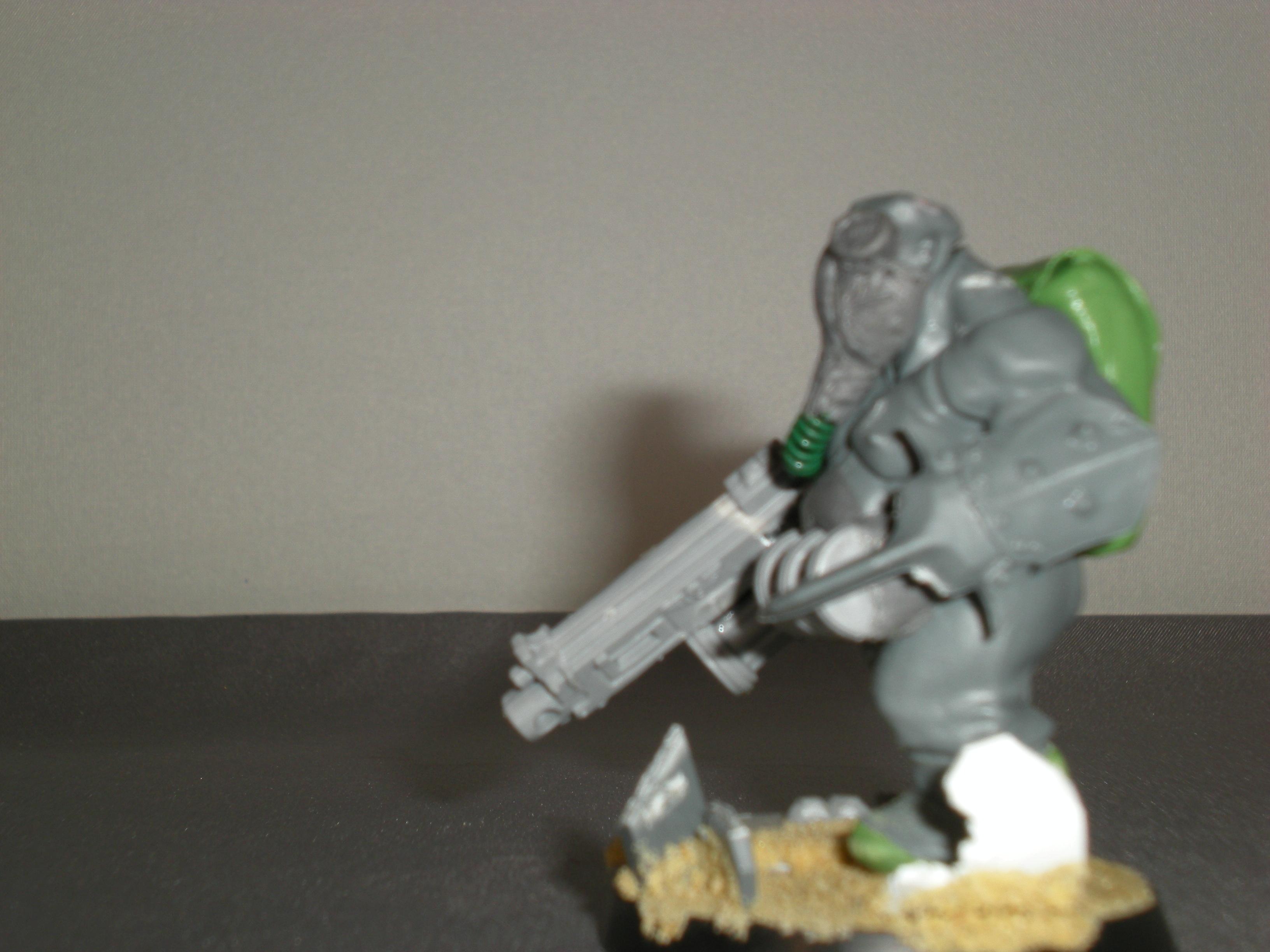 Imperial Guard, Ogryns
