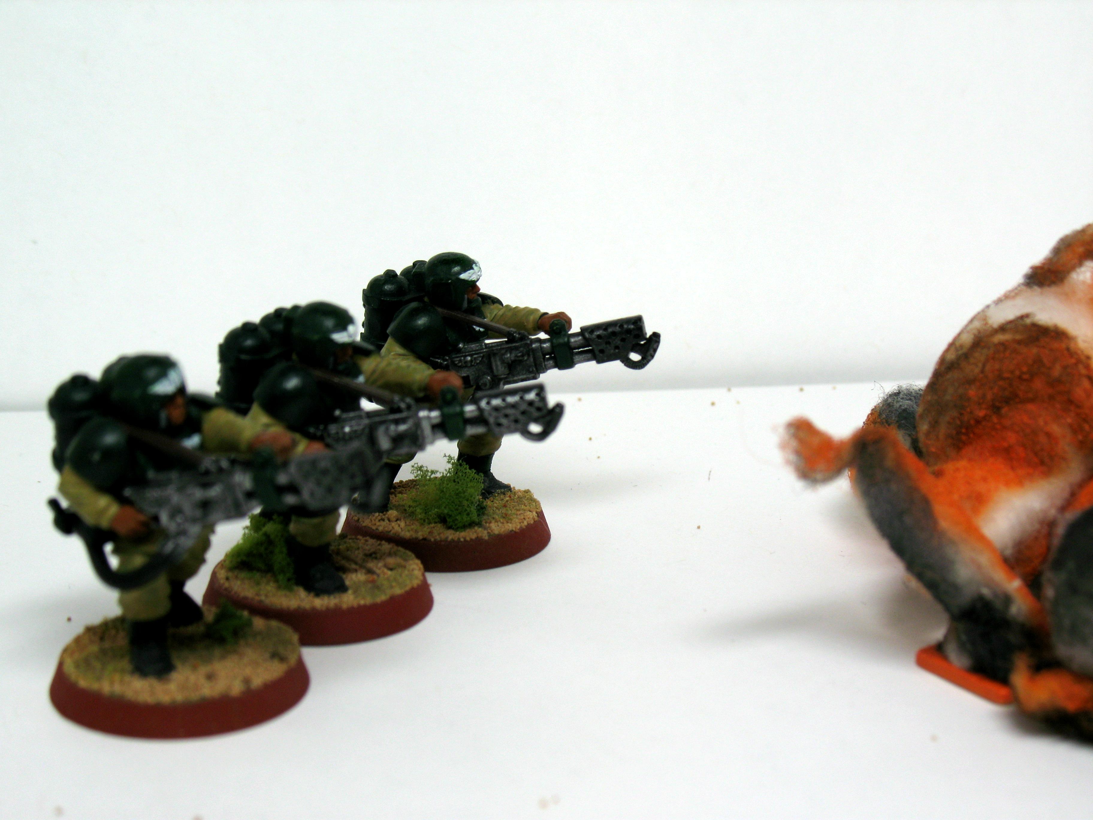 11th, Assault, Cadian Assault, Cadians, Flamer, Flamers, Grunts, Guard, Imperial, Imperial Guard, Infantry
