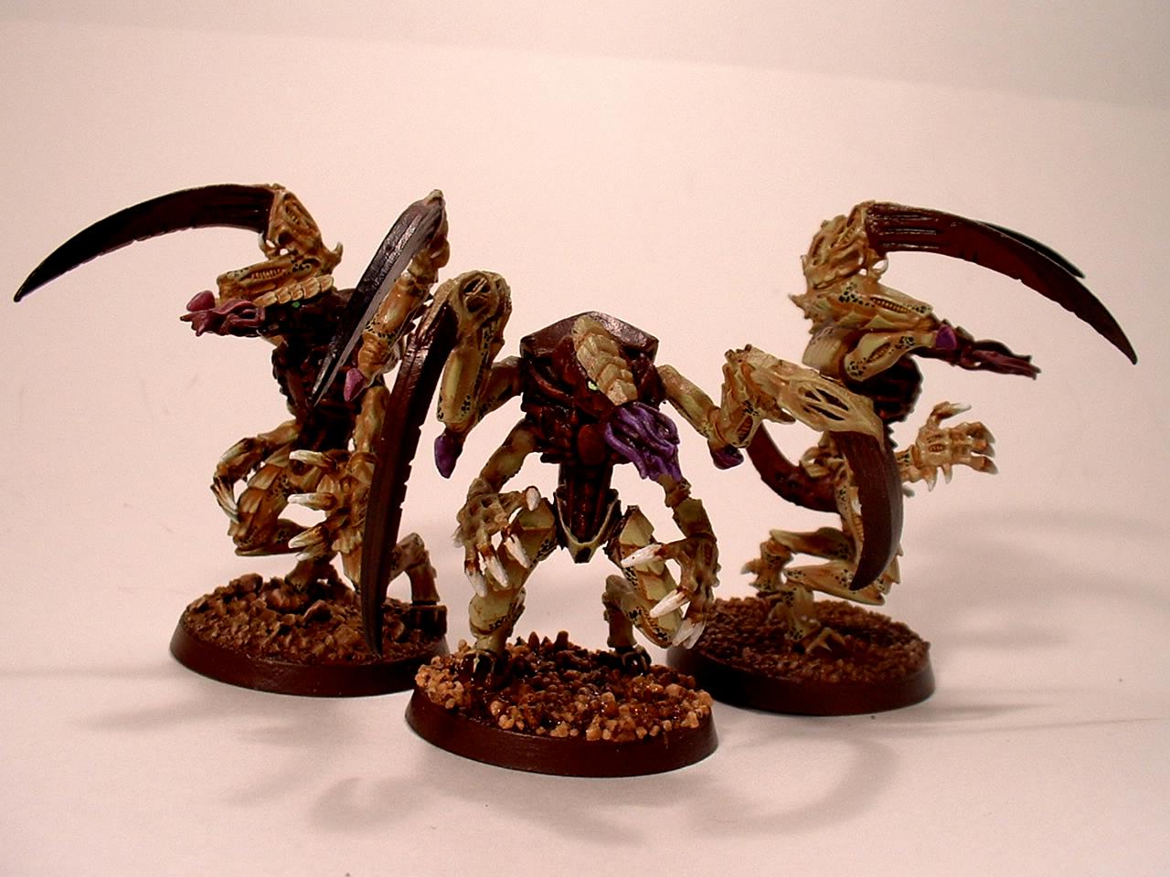 Lictors, Tyranids, Warhammer 40,000