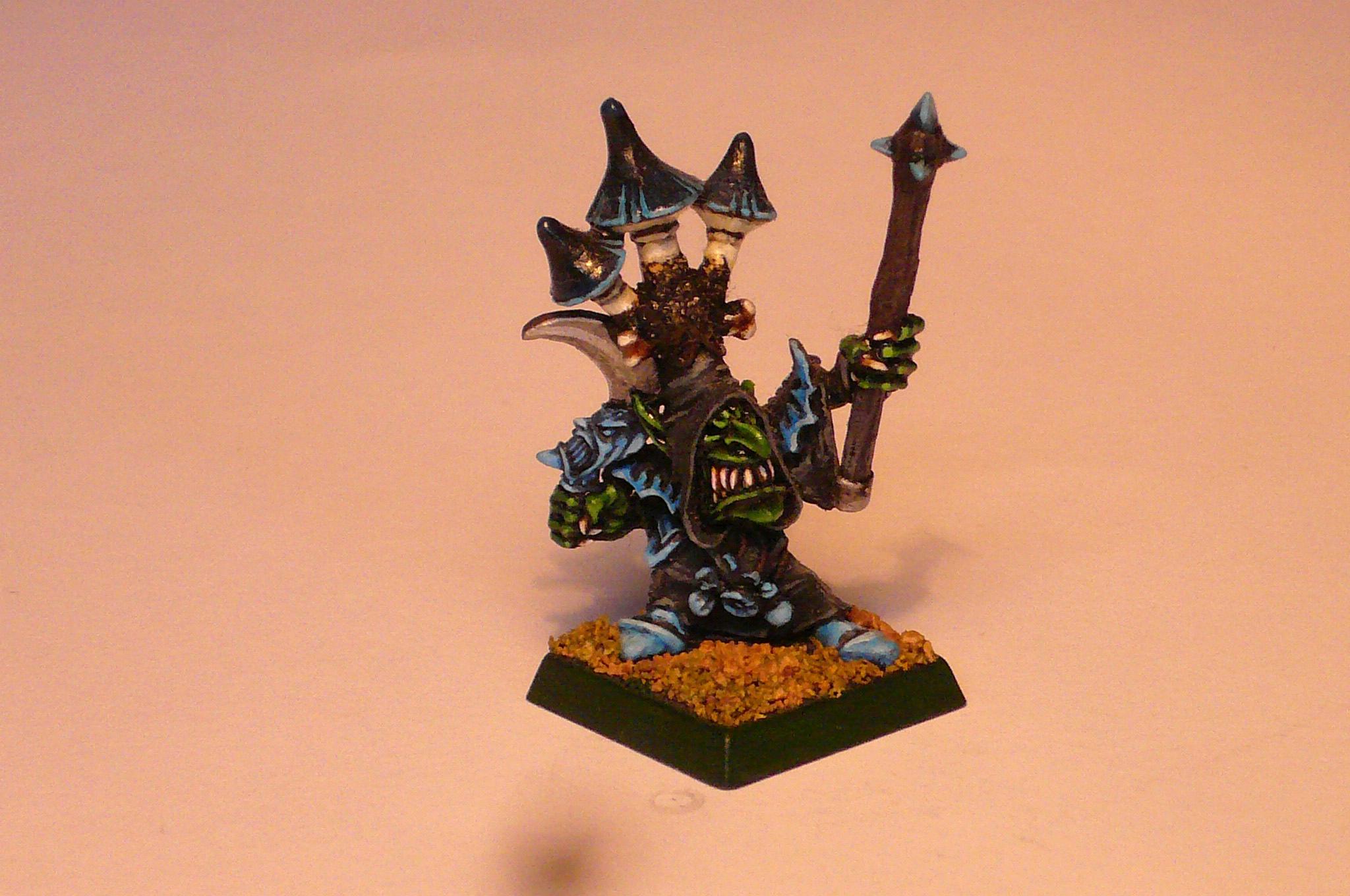 Hero, Night Goblins, Orcs And Goblins, Warhammer Fantasy, Wizard