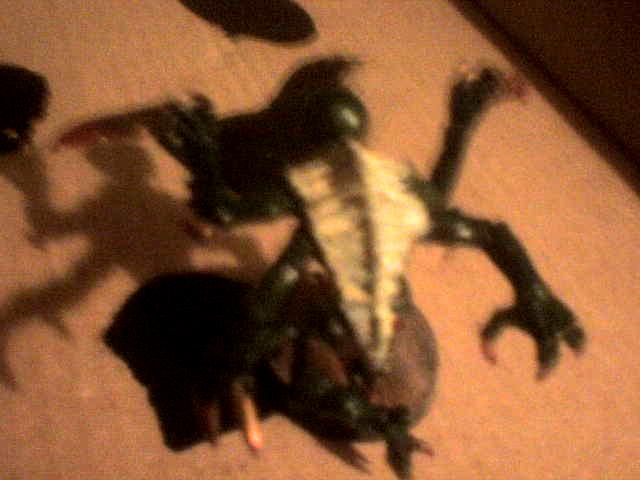 Blurred Photo, Hive Fleet Garuda, Tyranids, Warhammer 40,000