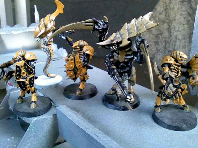 HT with guards and zoanthrope