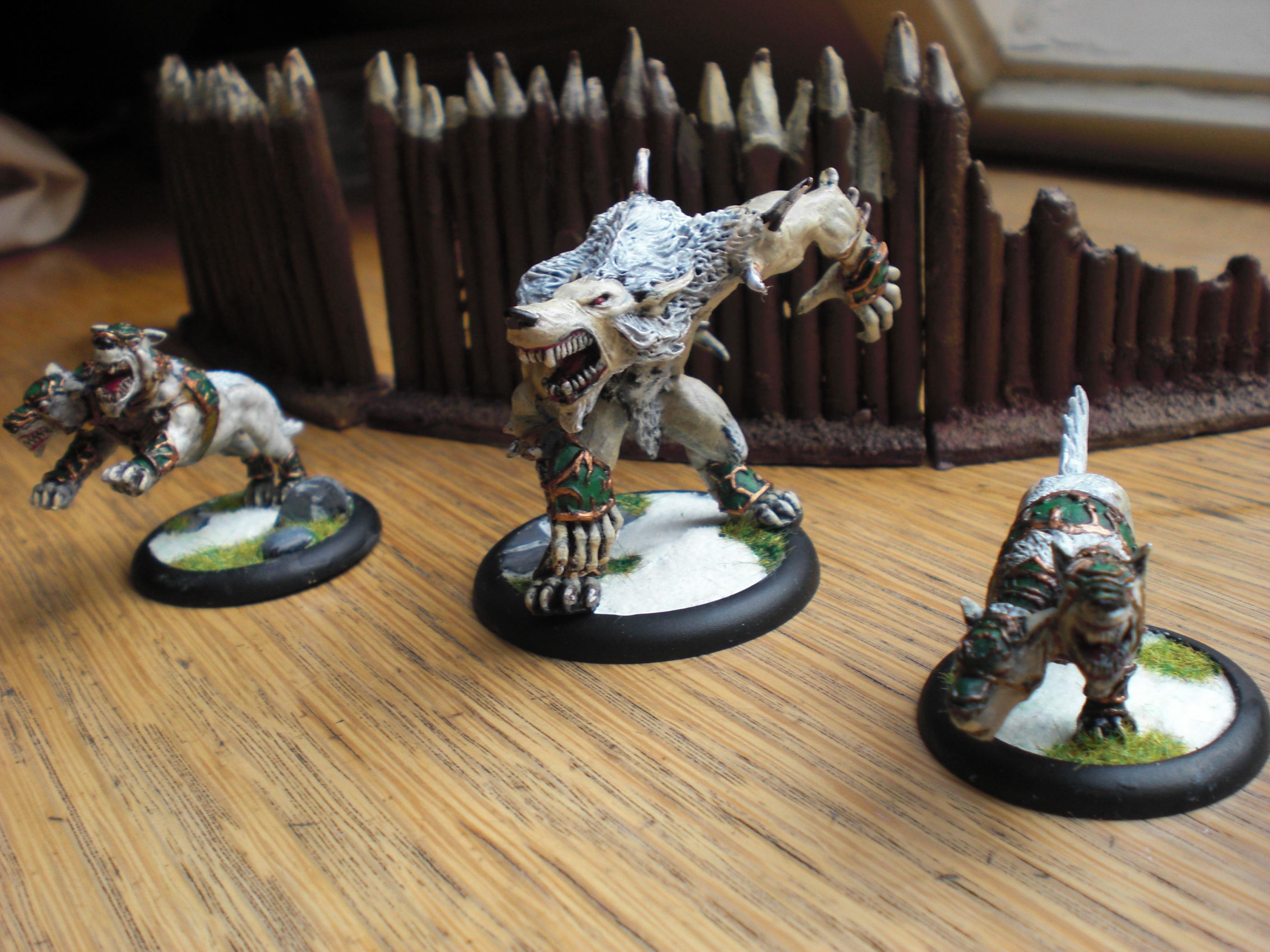 Albino, Circle, Hordes, Orberos, Wolf